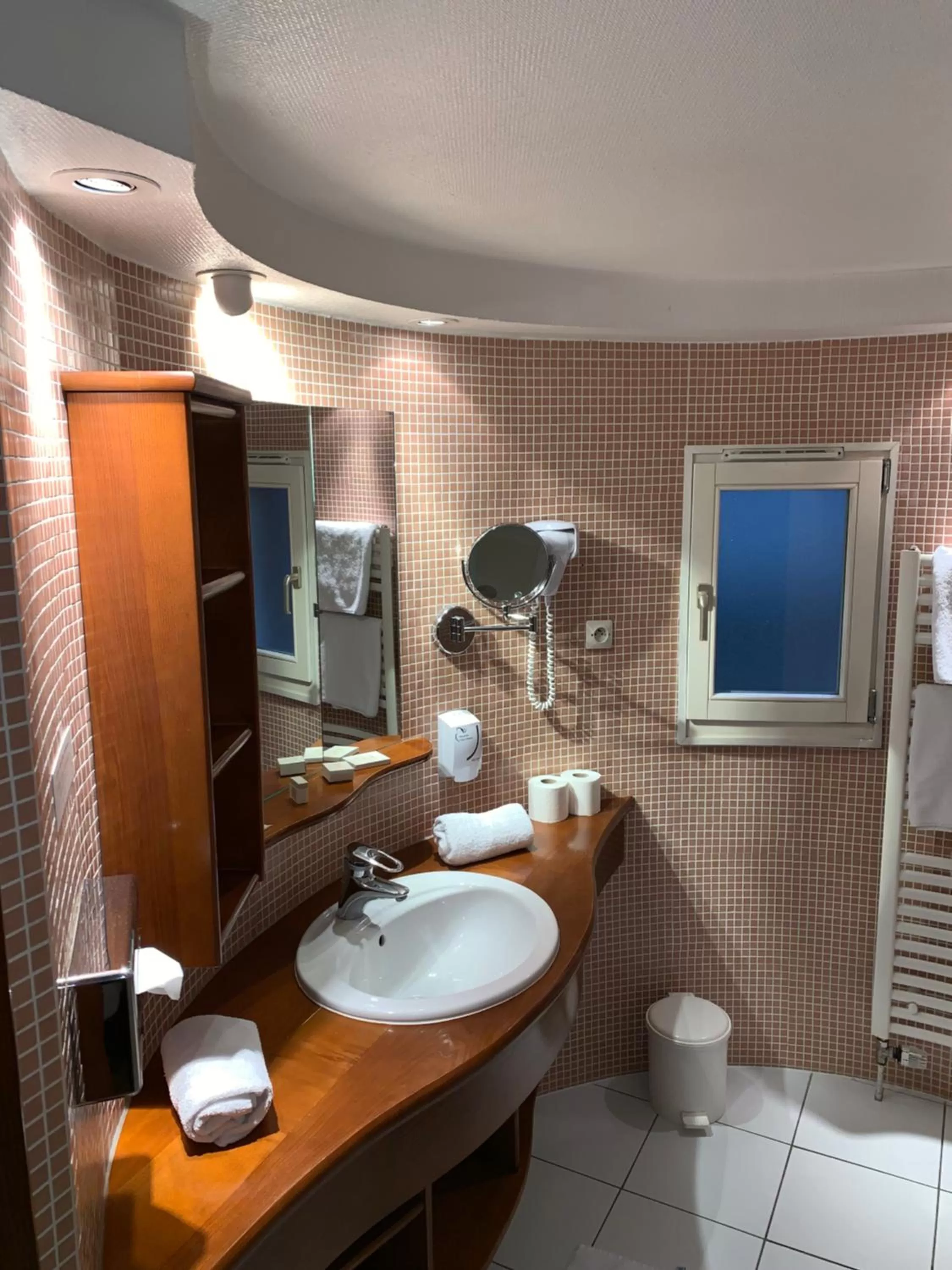 Toilet in Logis Hôtel Restaurant Au Cerf d'Or