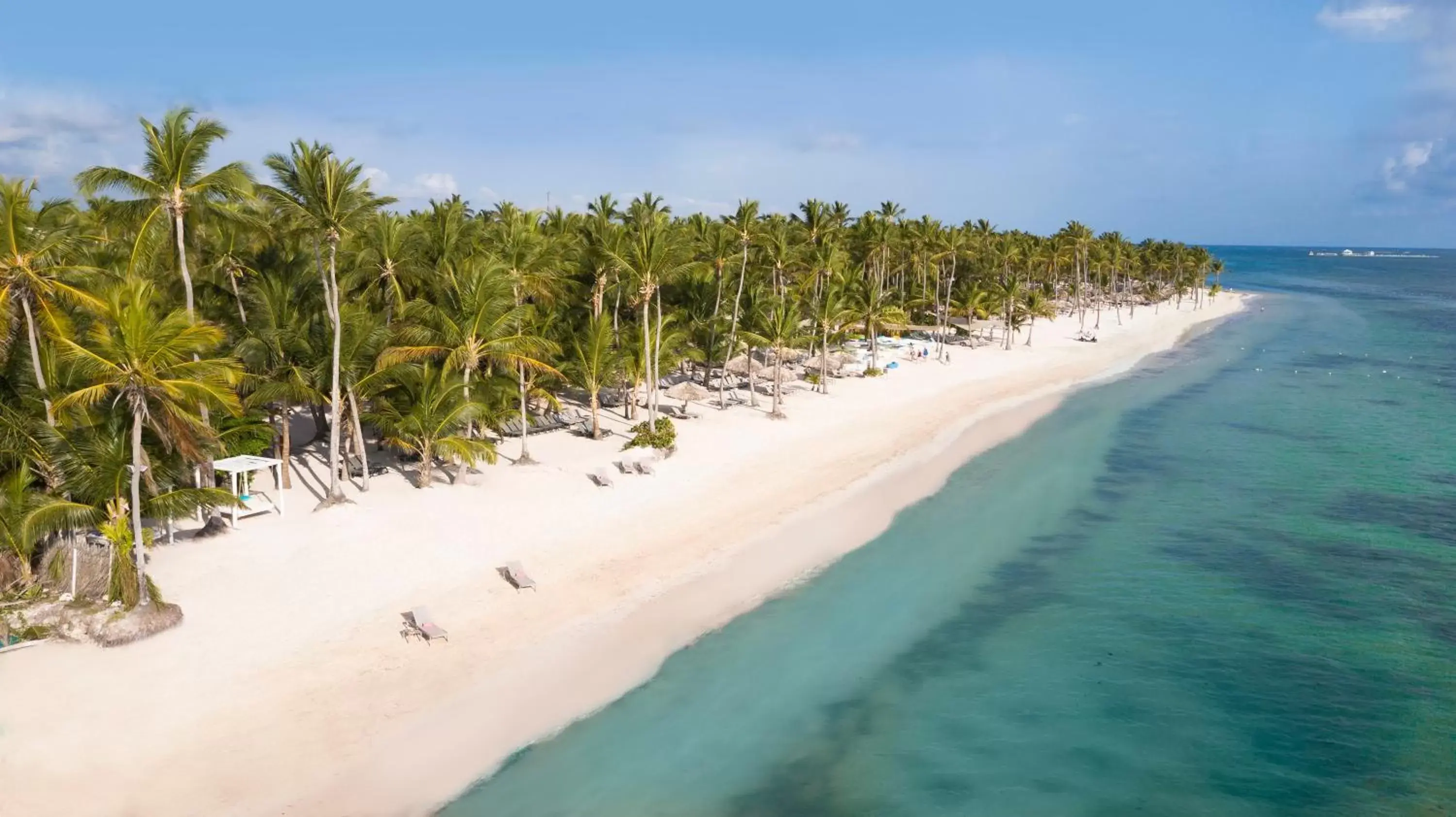 Bird's eye view, Bird's-eye View in Catalonia Royal Bavaro - All Inclusive - Adults Only