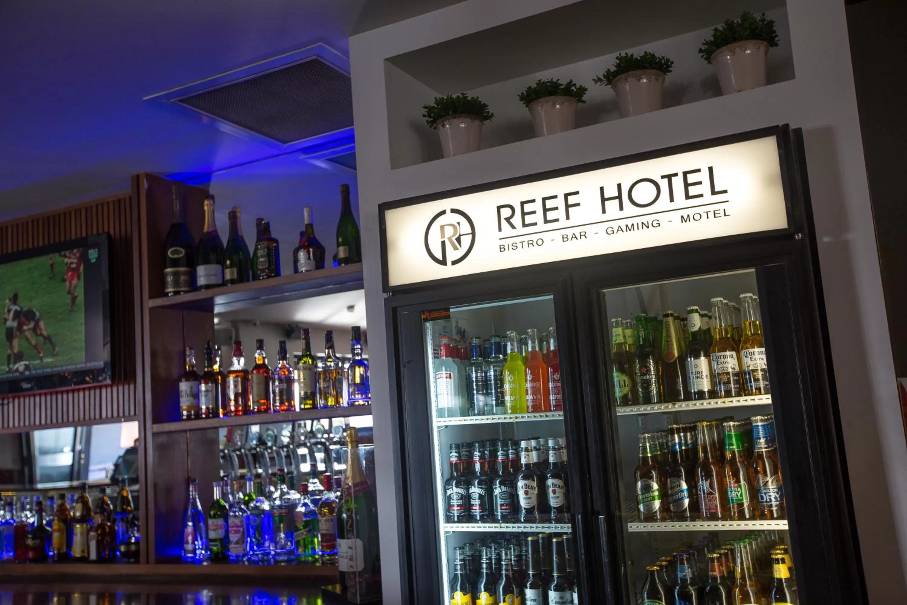 Lounge or bar in Gladstone Reef Hotel Motel