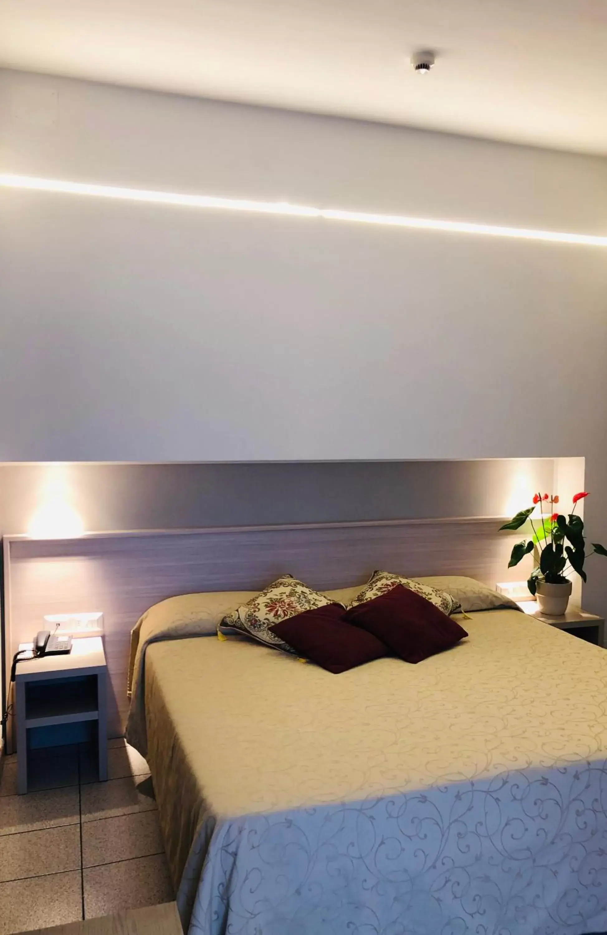 Bed in Hotel Delfina