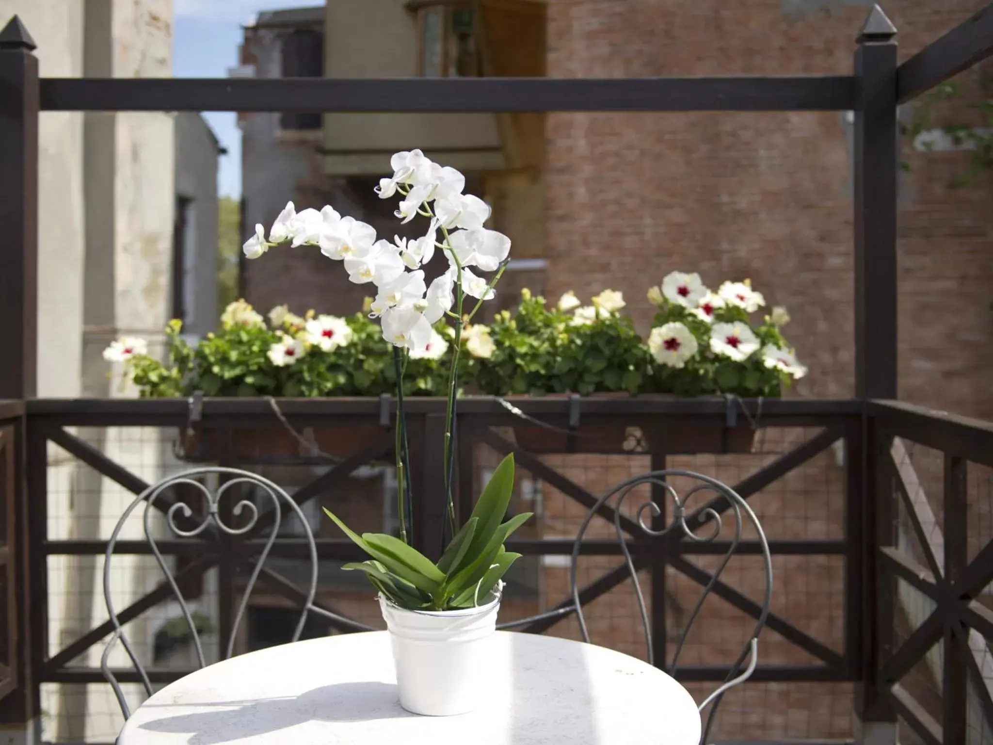 Balcony/Terrace in Hotel Campiello