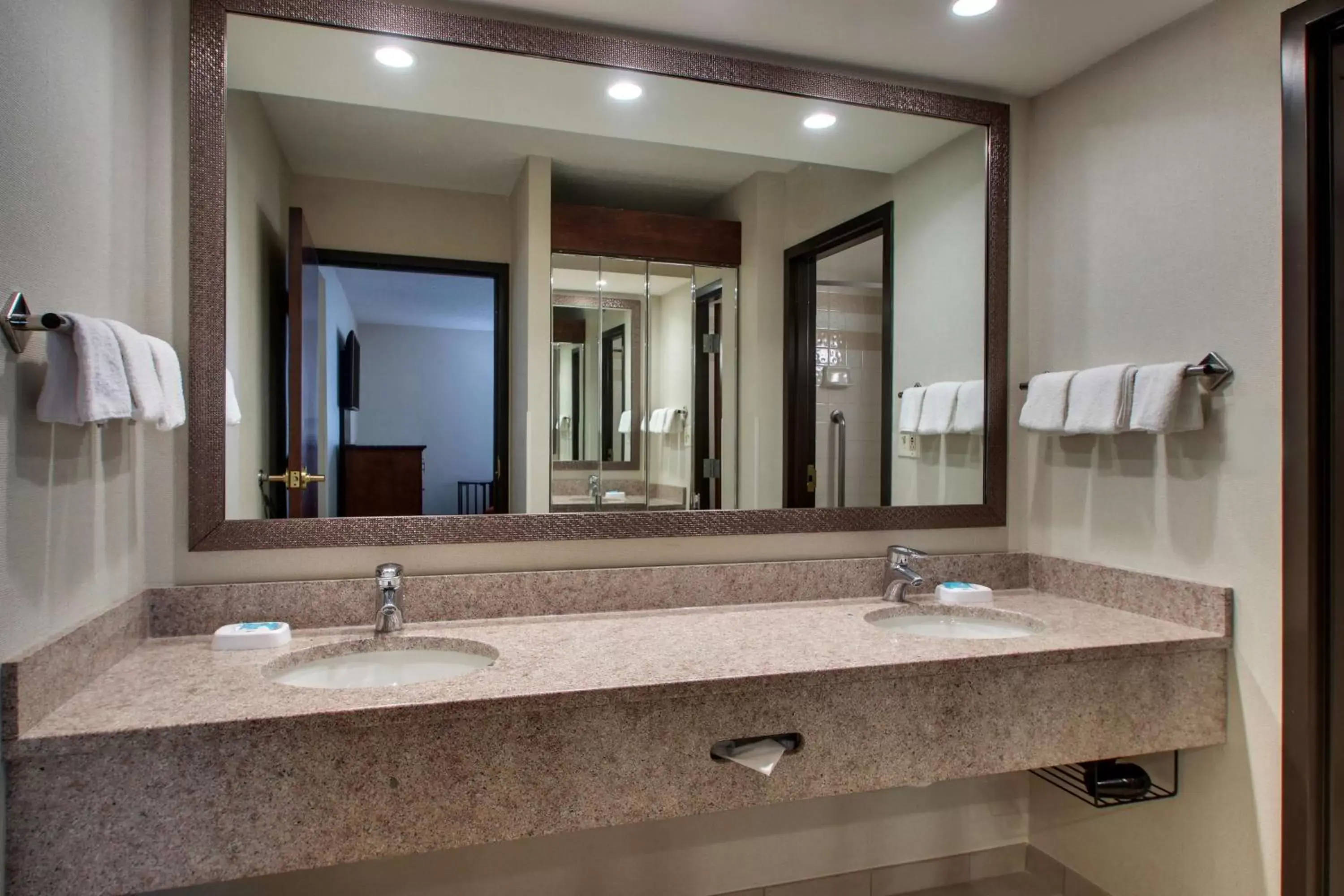 Photo of the whole room, Bathroom in Drury Inn & Suites Bowling Green