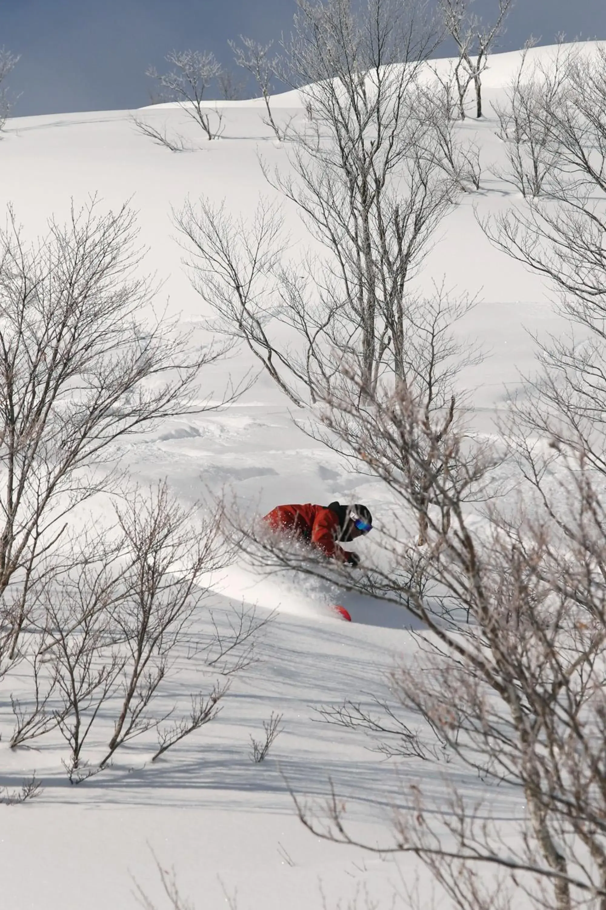 Skiing, Winter in Lotte Arai Resort