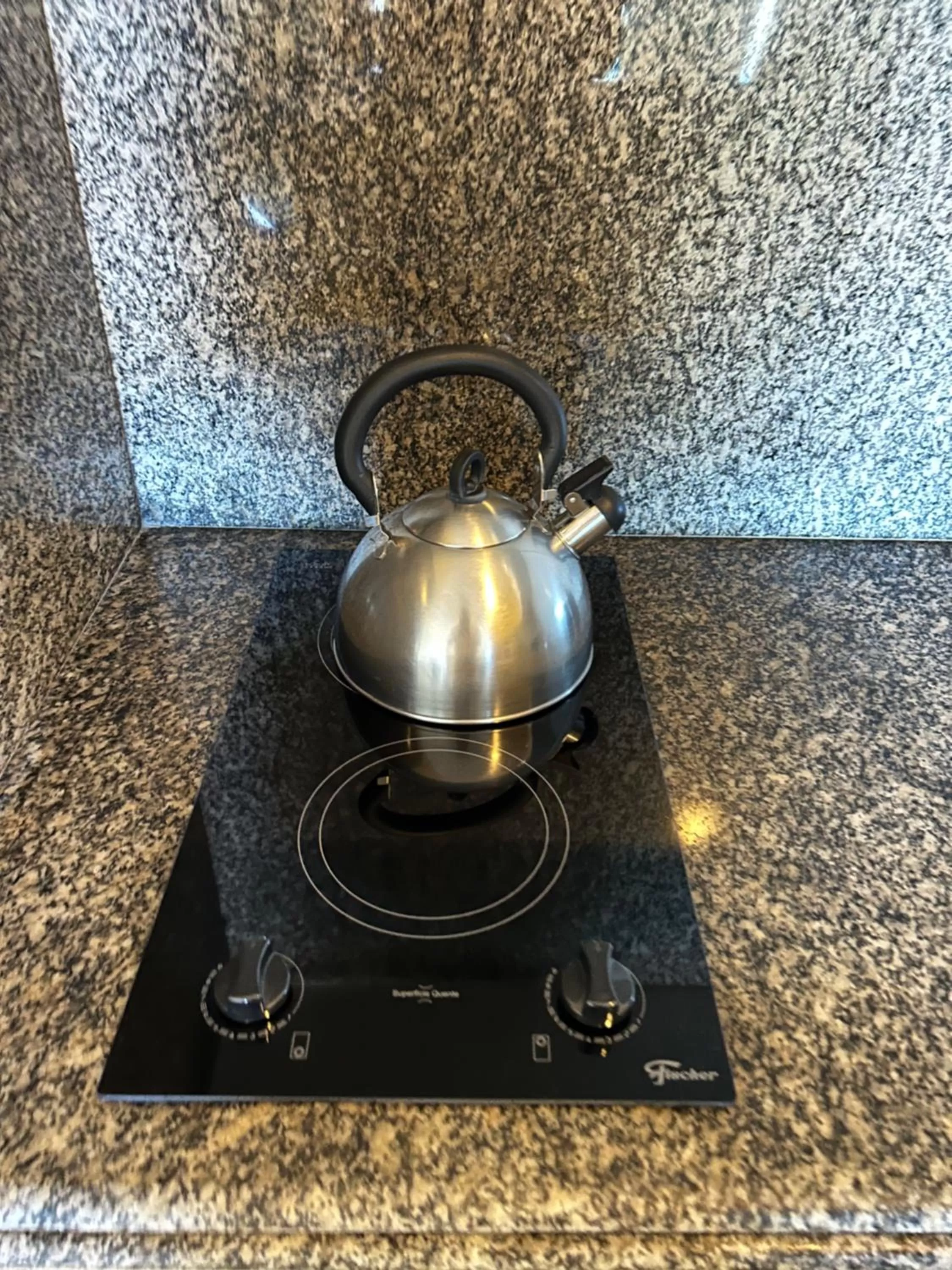 Kitchen or kitchenette in Golfinhos Apart Hotel