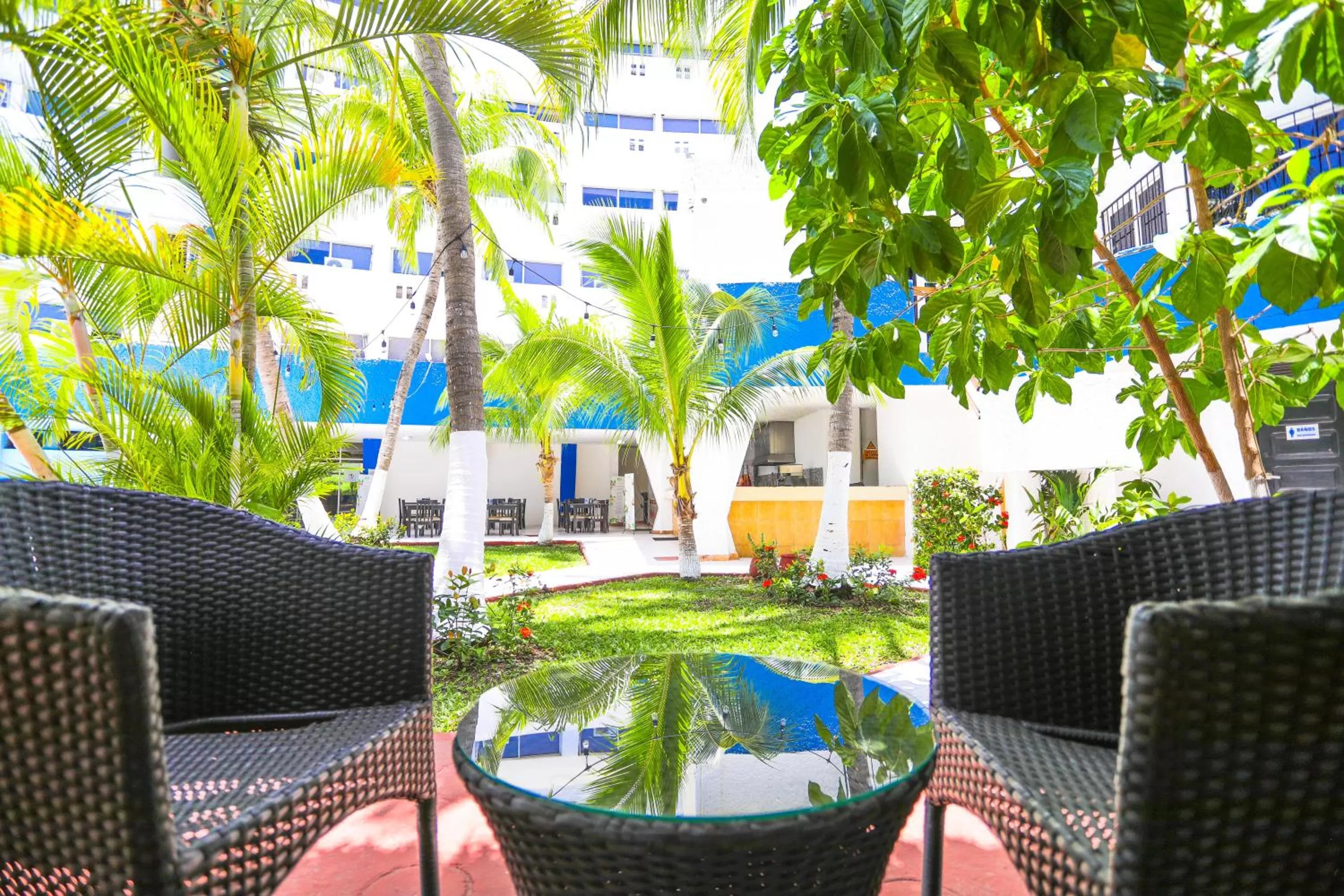 Garden in Hotel Caribe Internacional Cancun