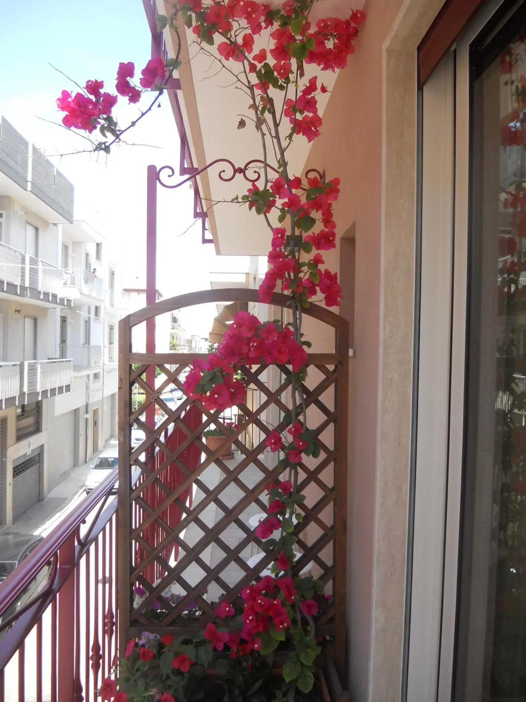 Balcony/Terrace in Beb Petali Rosa