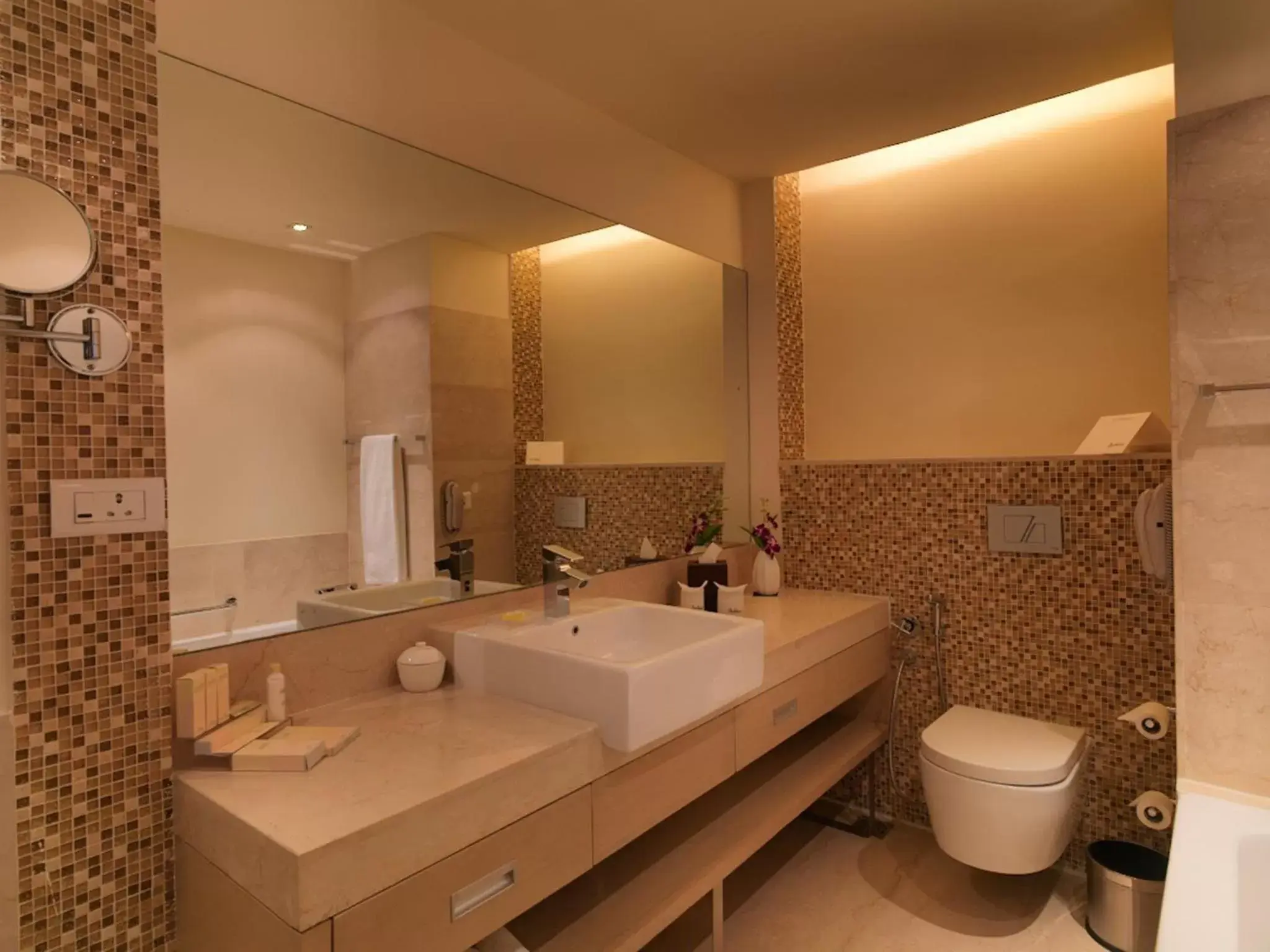 Bathroom in Radisson Blu Hotel, Greater Noida