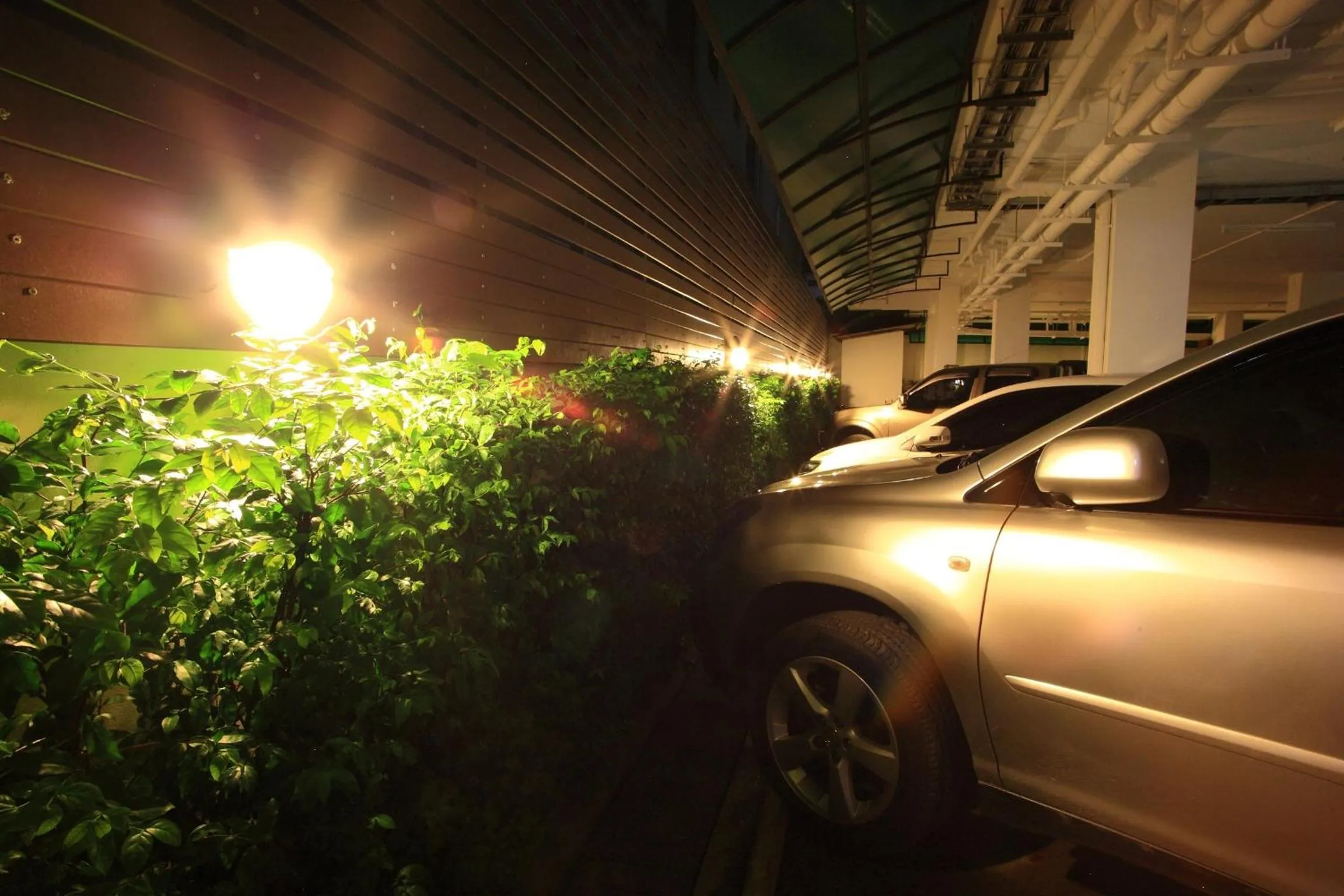 Night in Pattara Place