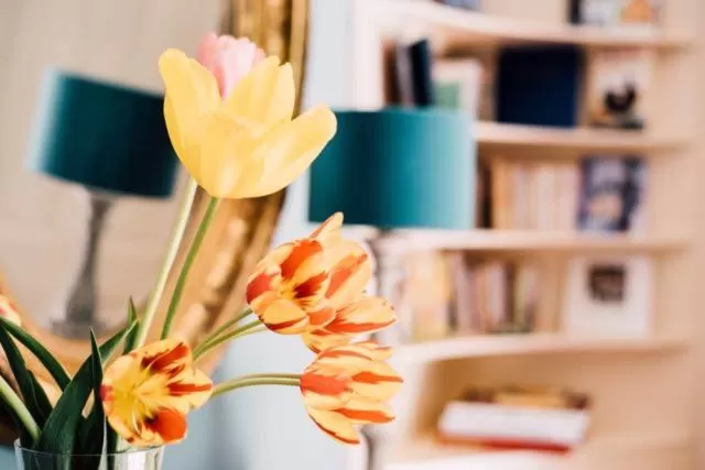 TV/Entertainment Center in Castel Jolly