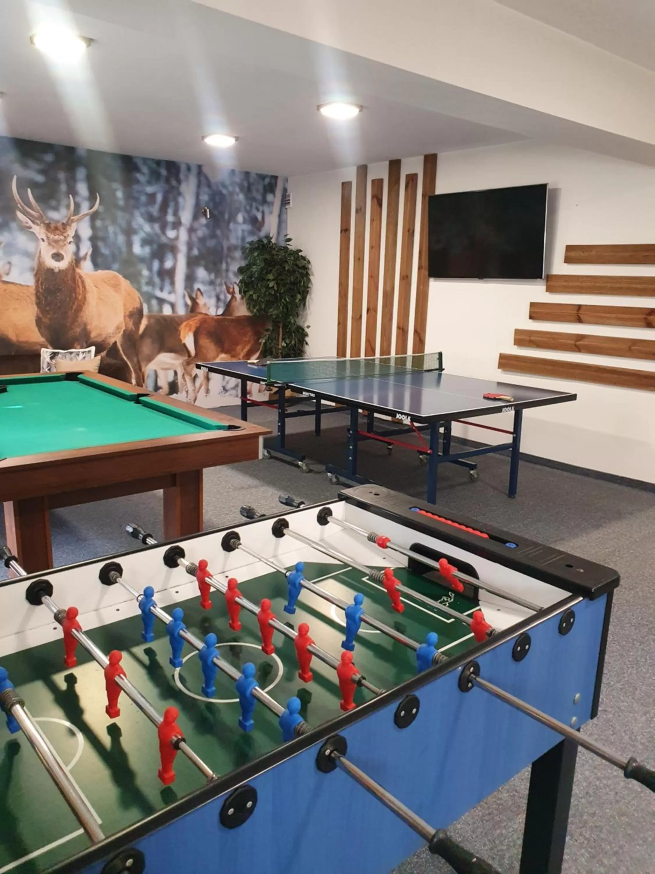 Billiard in Dom Wypoczynkowy Stokrotka