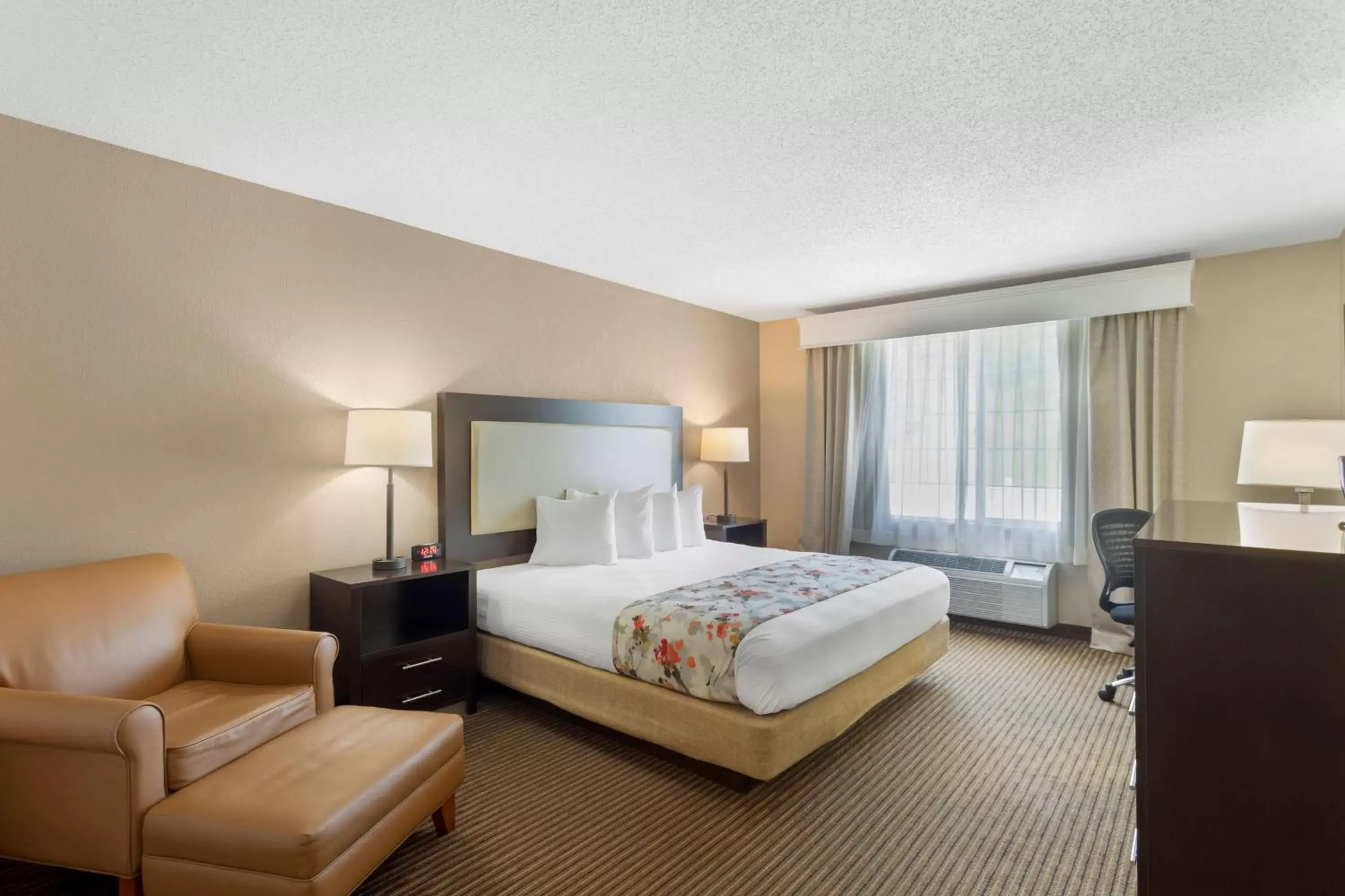 Bedroom, Bed in Best Western Lawrenceburg Inn Bedroom, Bed in Best Western Lawrenceburg Inn