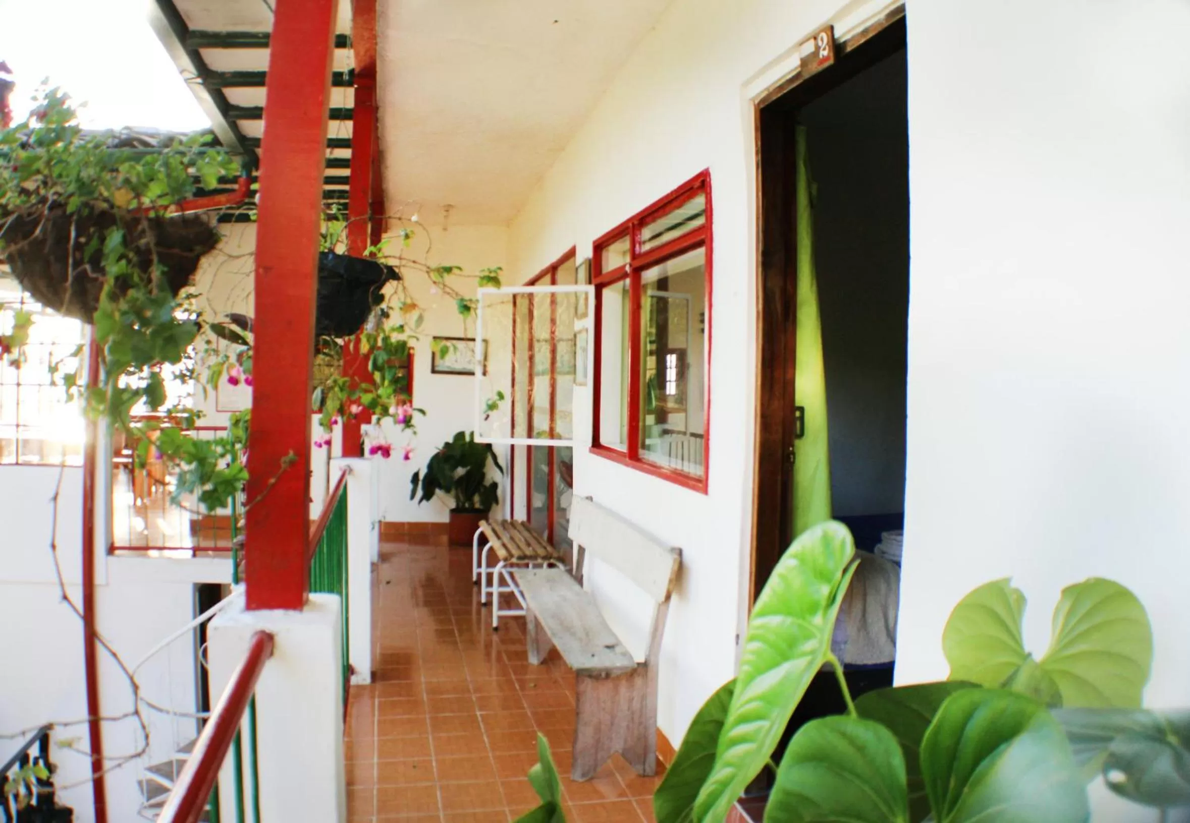 Balcony/Terrace in Eco Lodge La Juanita