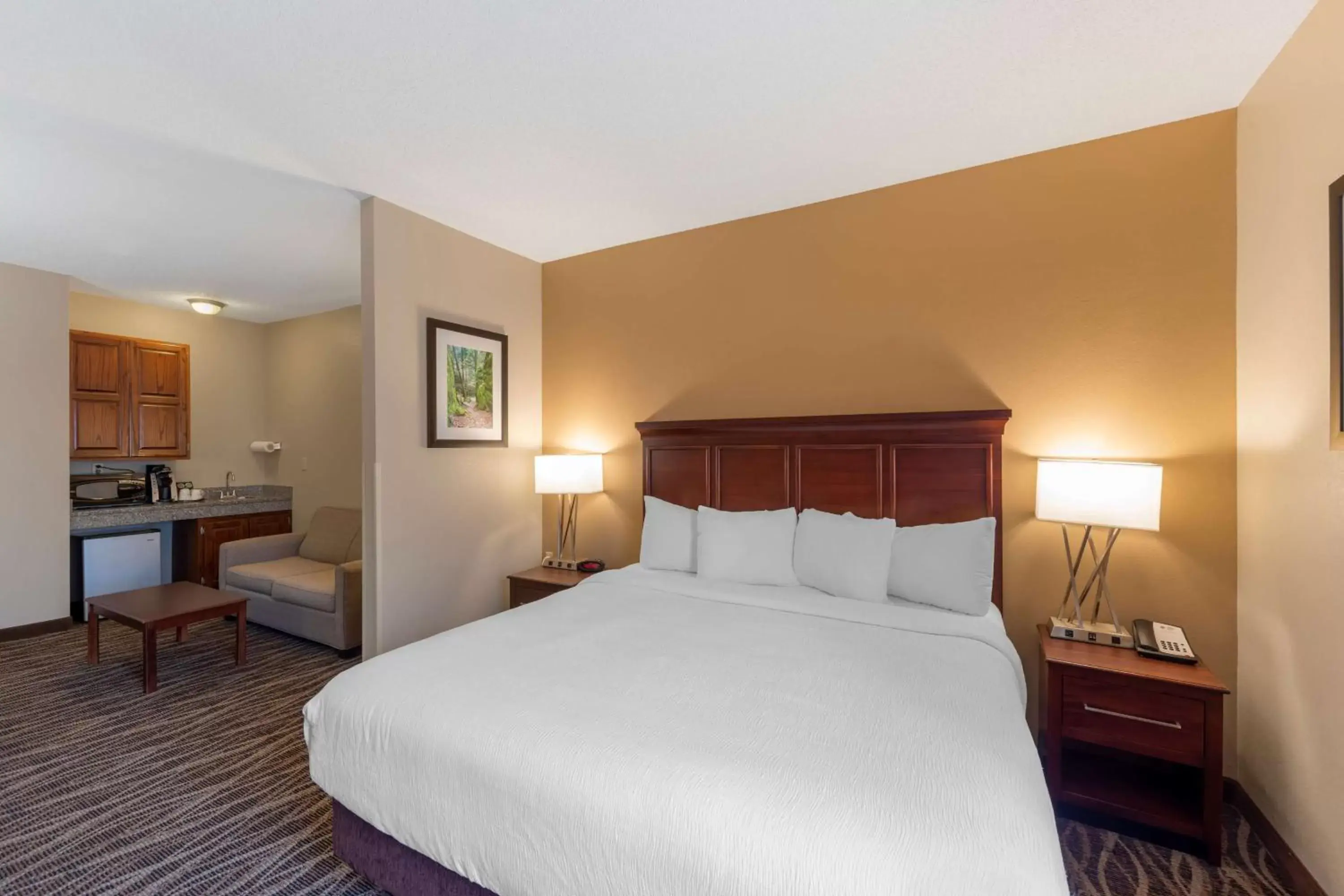 Bedroom, Bed in Best Western Plus Russellville Hotel & Suites