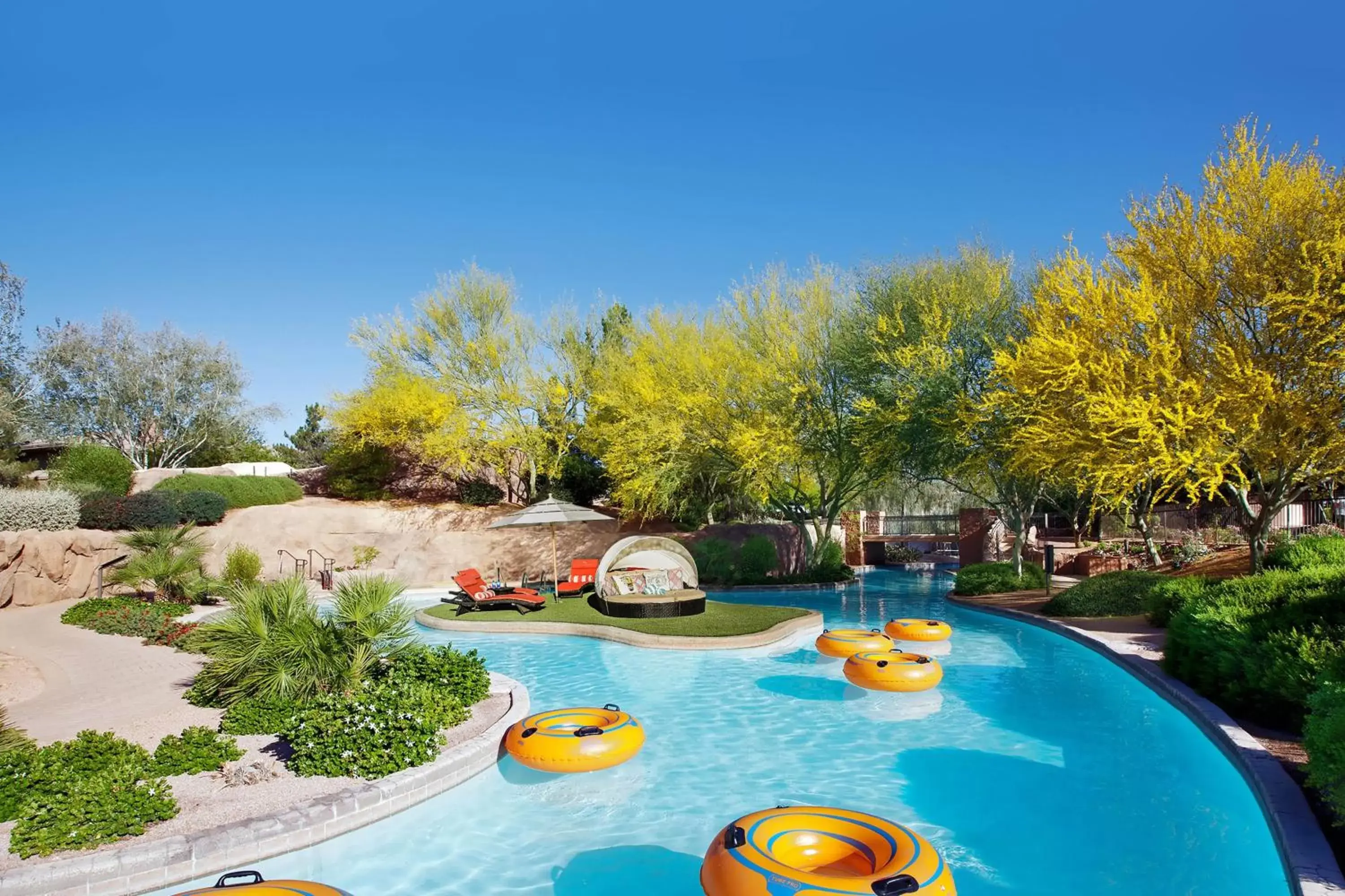 Area and facilities, Pool View in The Westin Kierland Resort & Spa