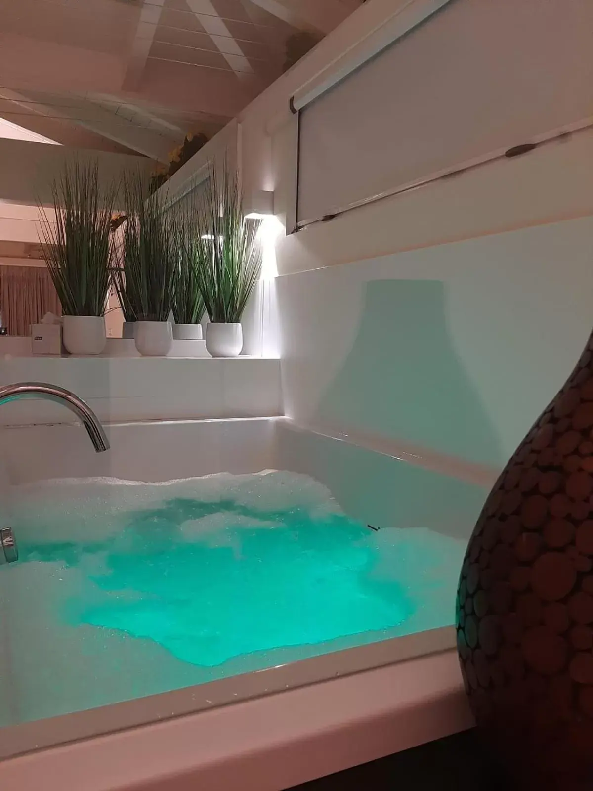 Hot Tub, Swimming Pool in Hotel Tancat de Codorniu