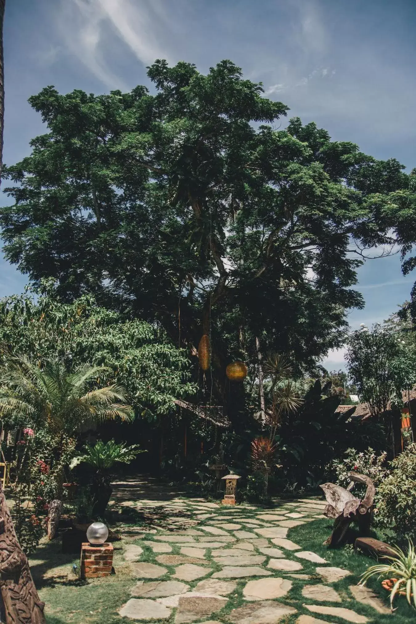 Garden in Hibiscus Garden Inn