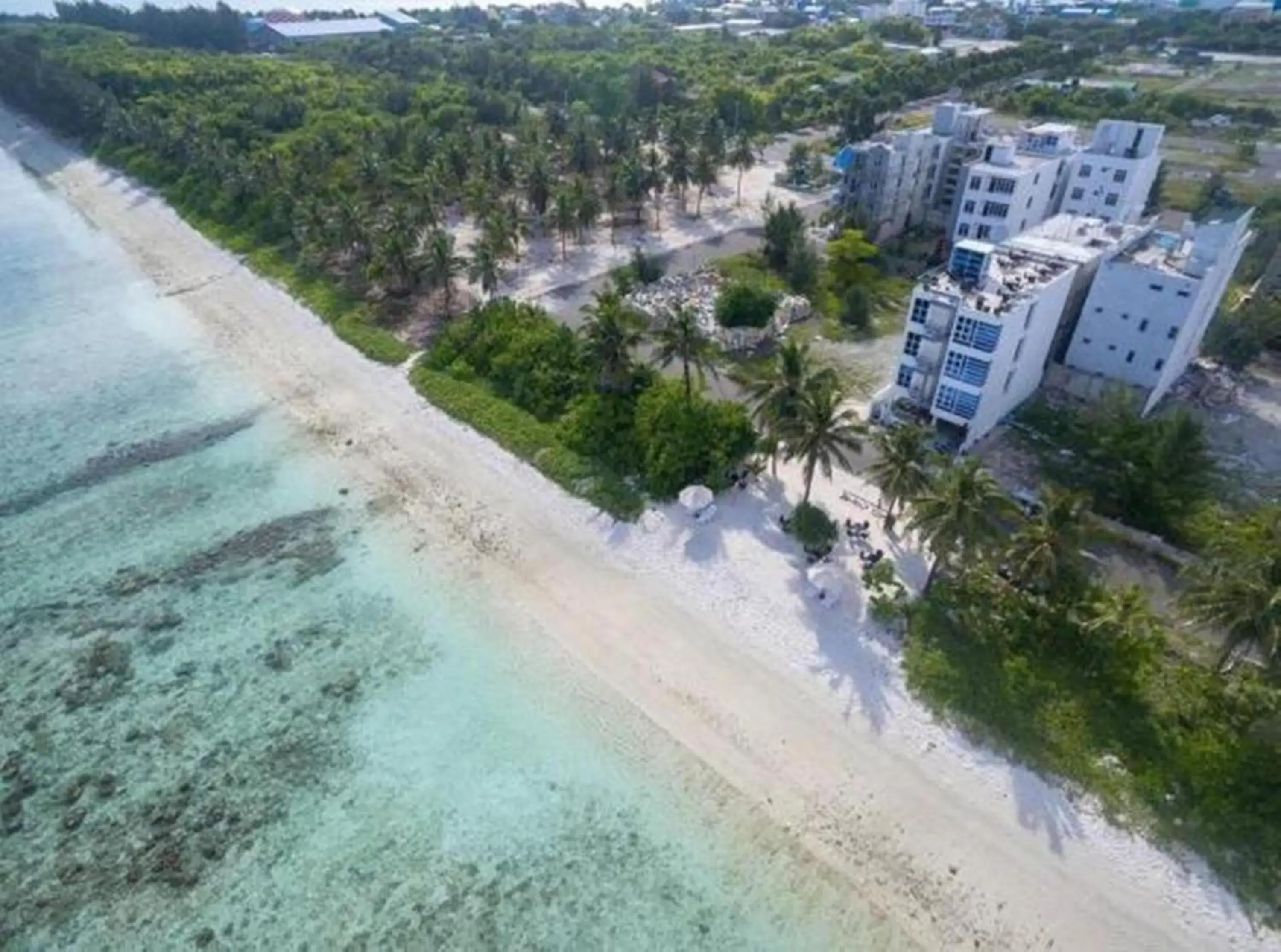 Sea view, Bird's-eye View in The White Harp Beach Hotel