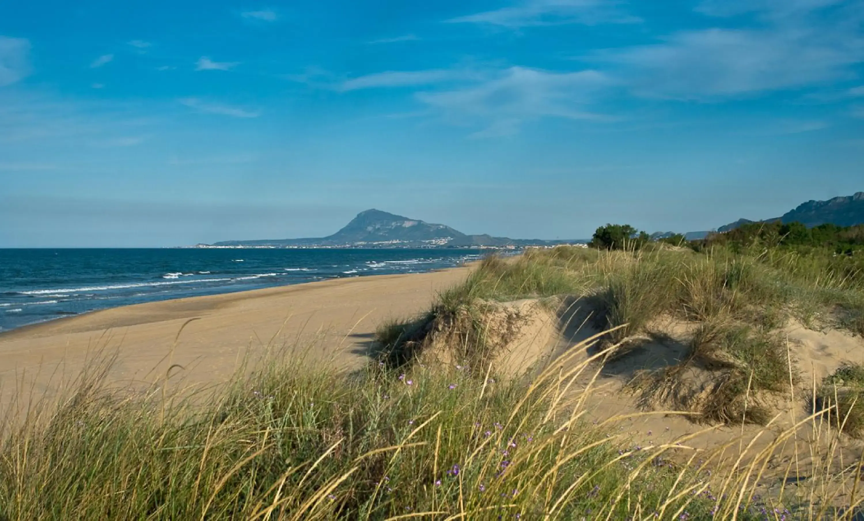 Property building in Las Dunas