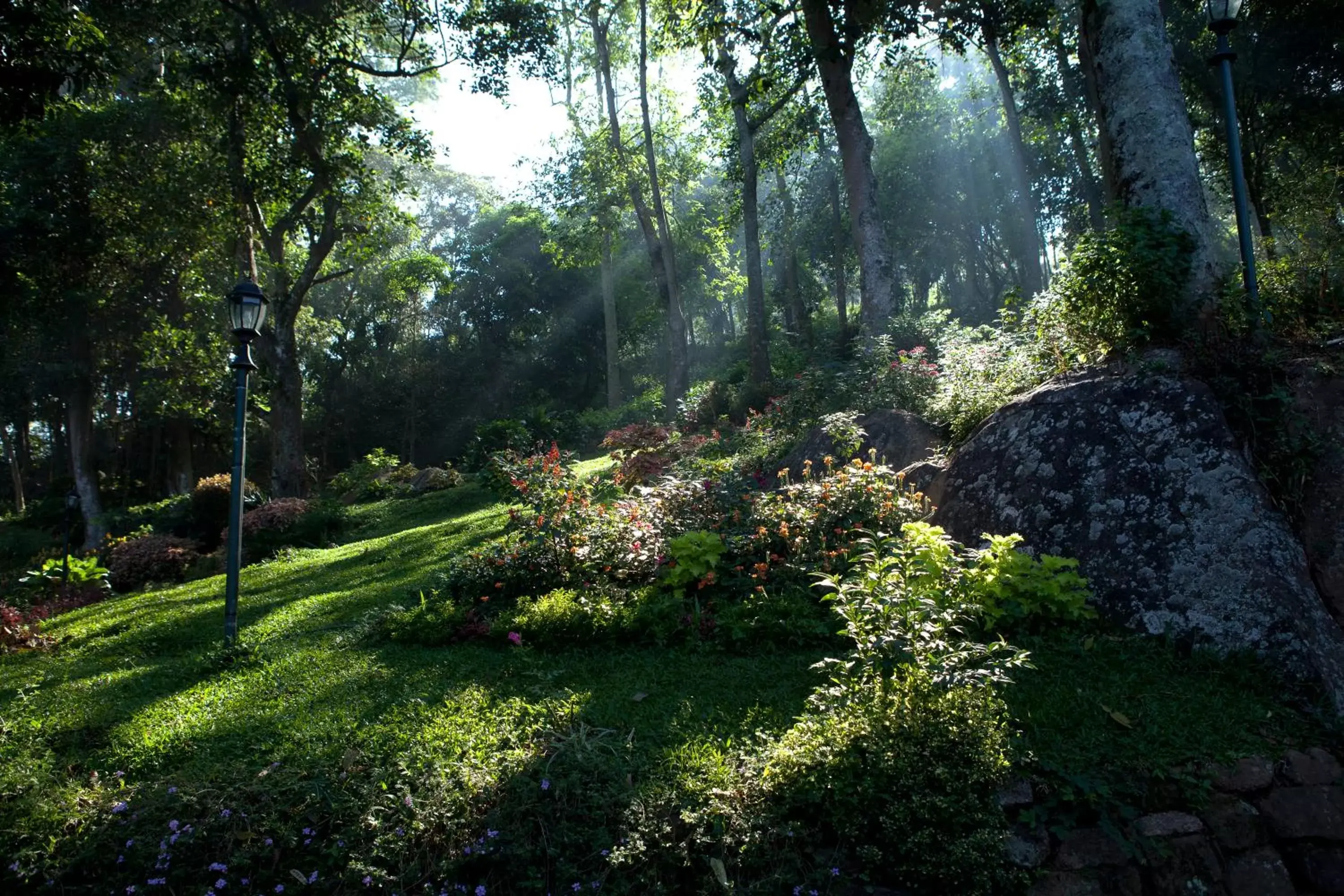 Mountain view, Garden in Amaya Hills Kandy