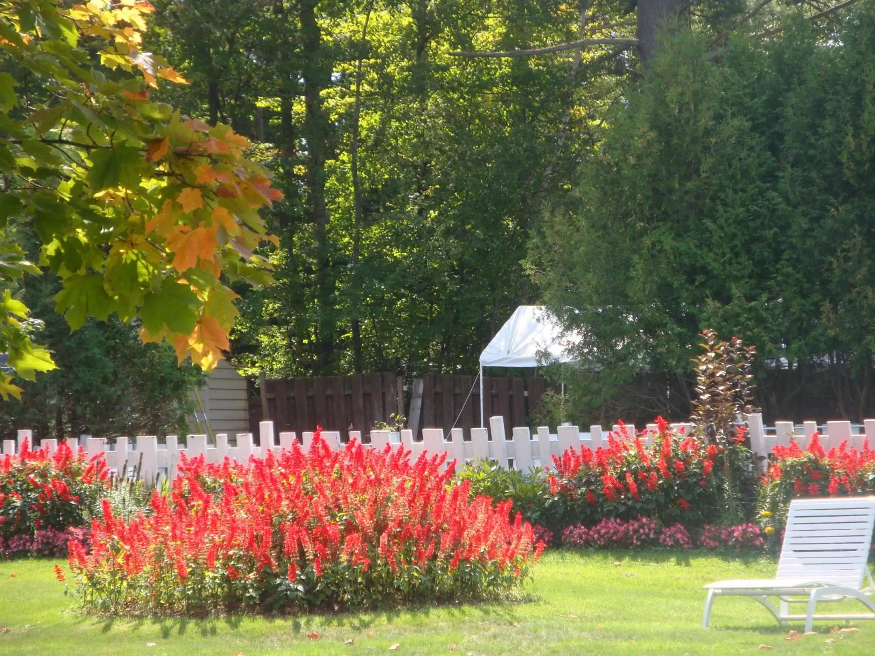 Garden in Maple Leaf Inn Lake Placid