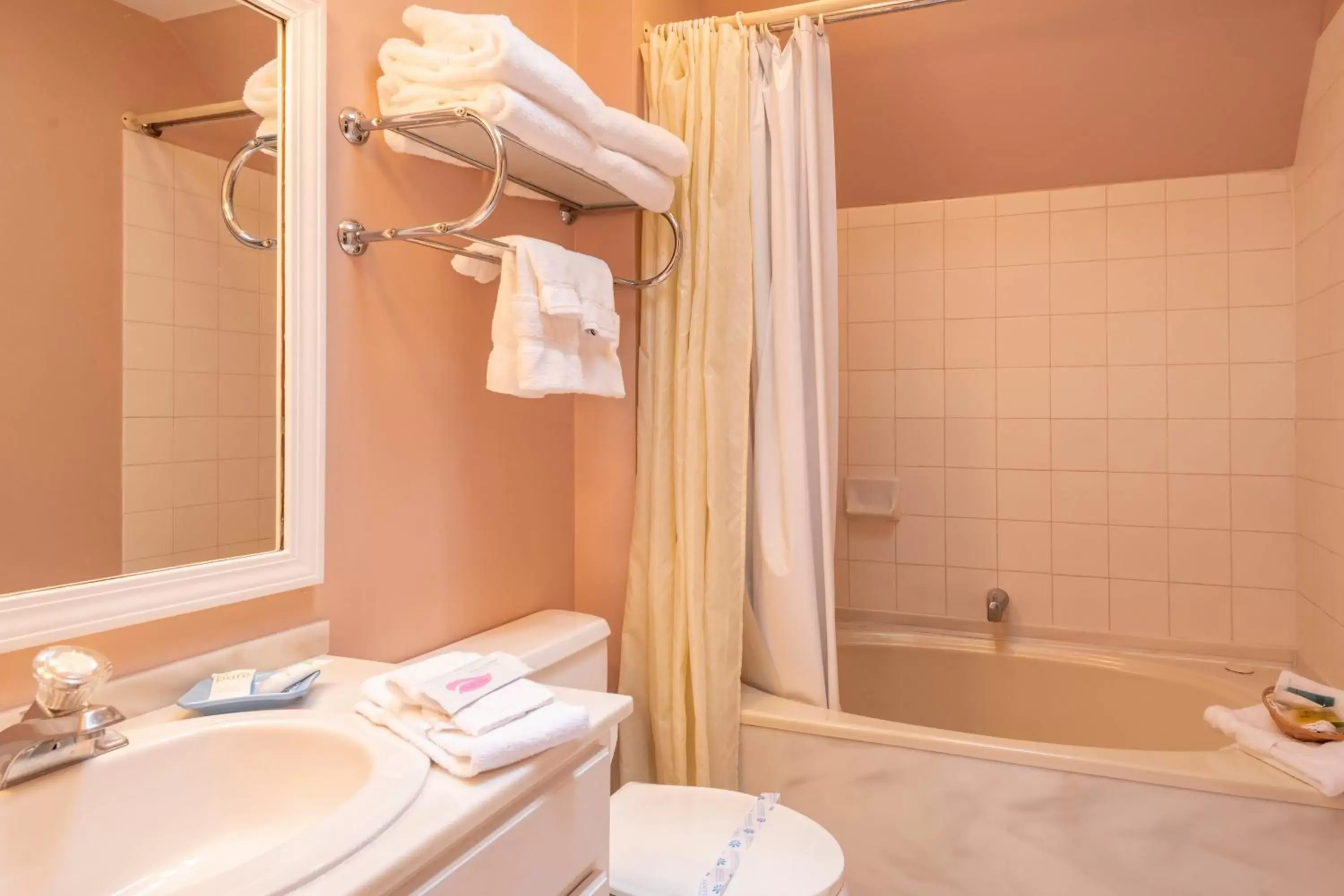 Bathroom in Century Suites Hotel