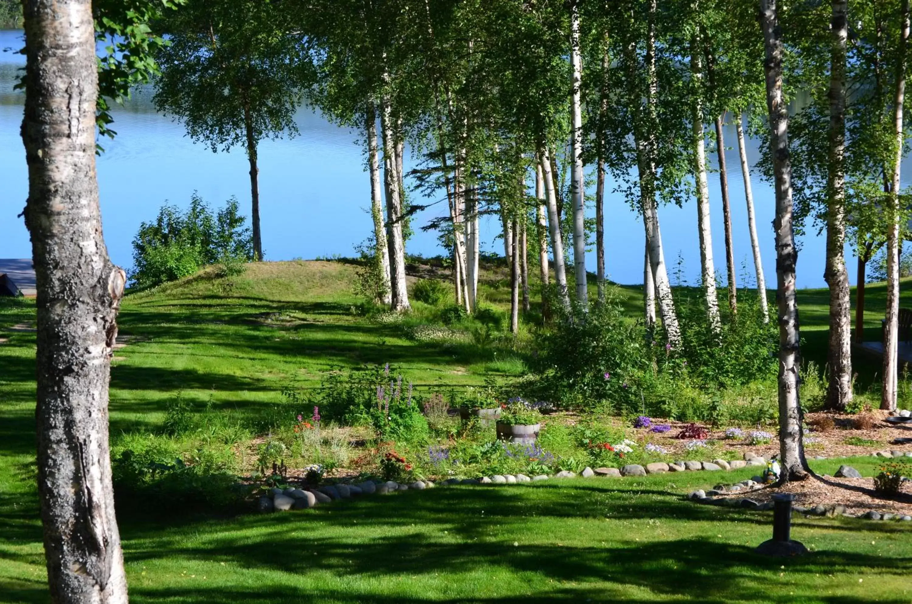 Lake view, Garden in Alaska's Lake Lucille Bed & Breakfast