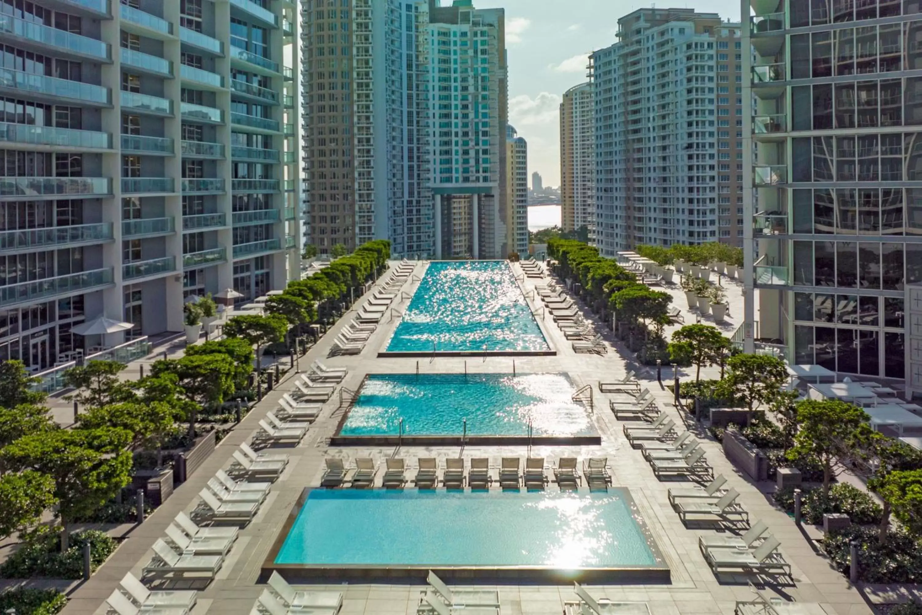 Swimming pool, Pool View in W Miami