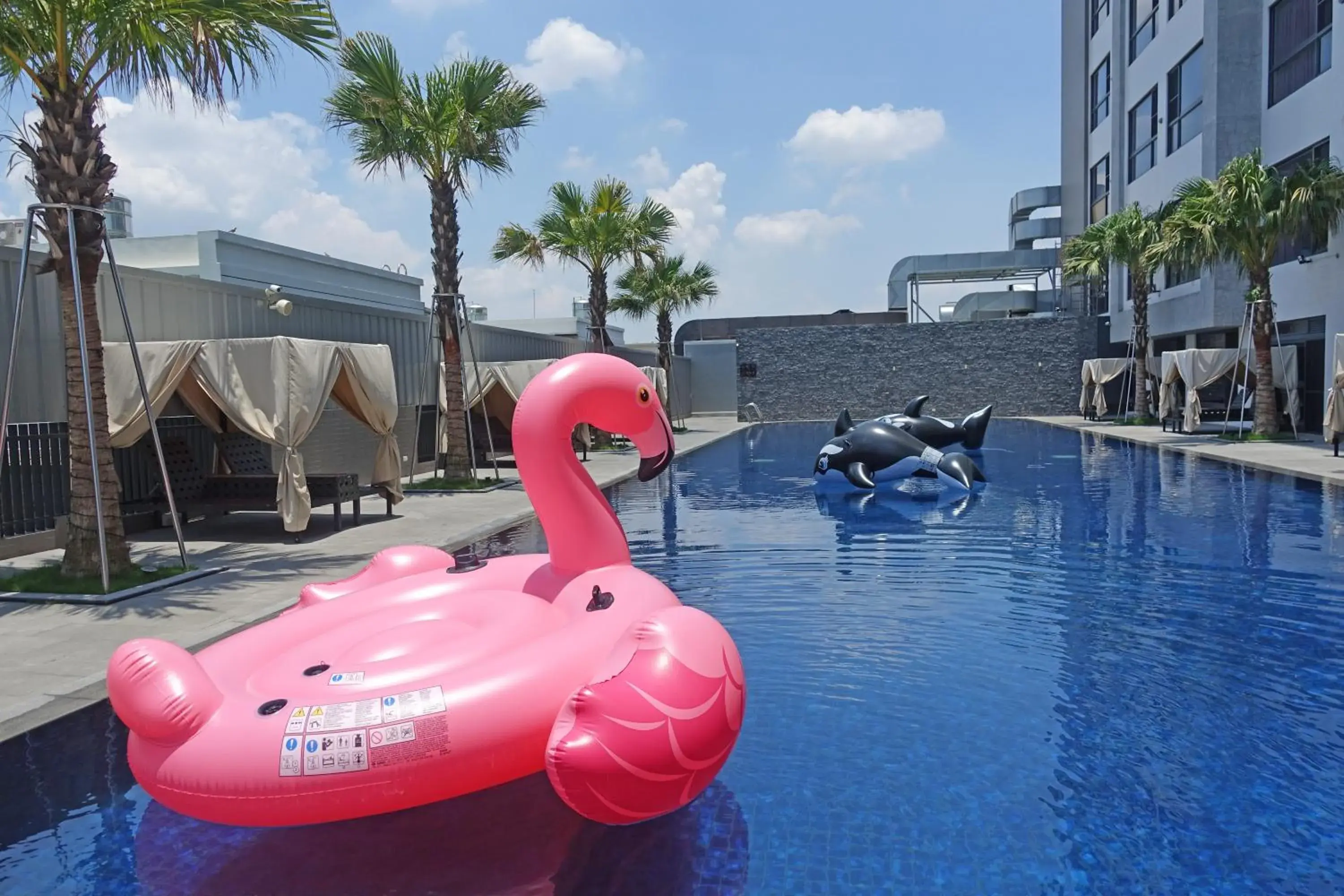 Swimming Pool in Sun Hao International Hotel