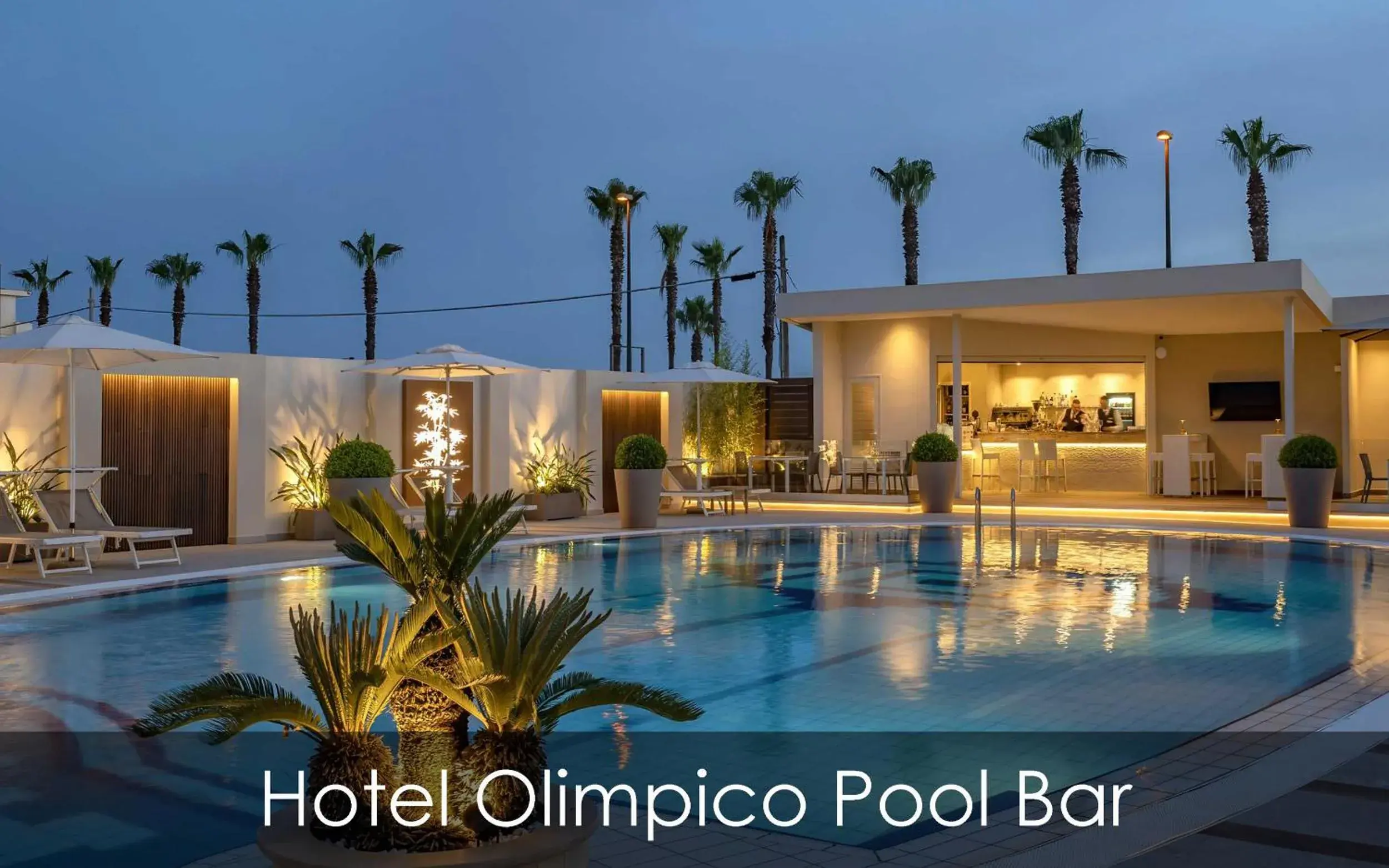Pool view, Swimming Pool in Hotel Olimpico