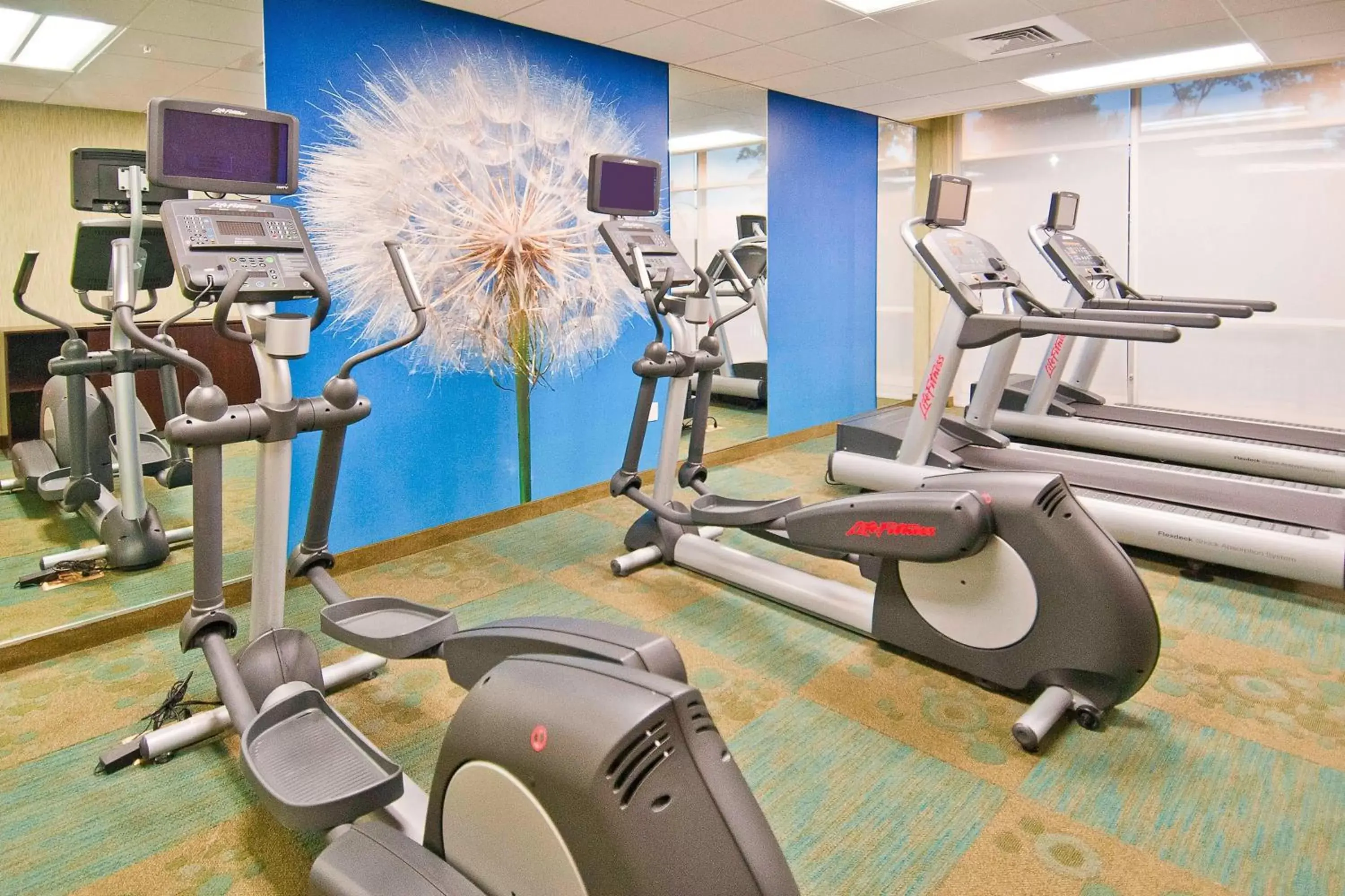 Fitness centre/facilities, Fitness Center/Facilities in SpringHill Suites by Marriott Baton Rouge Gonzales