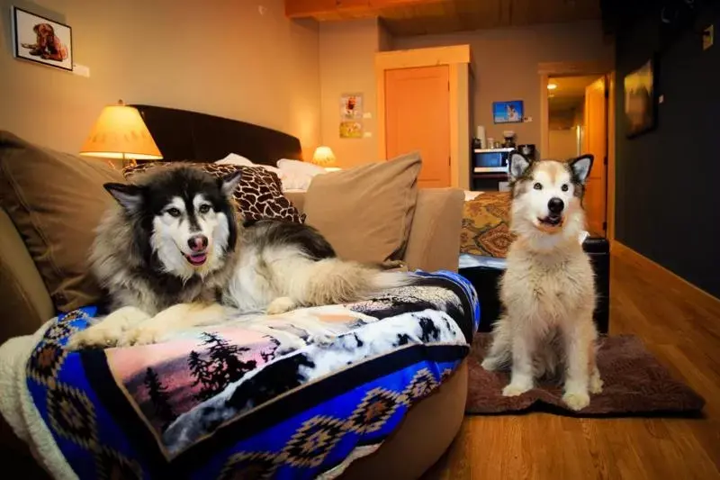 Pets in Twisp River Suites