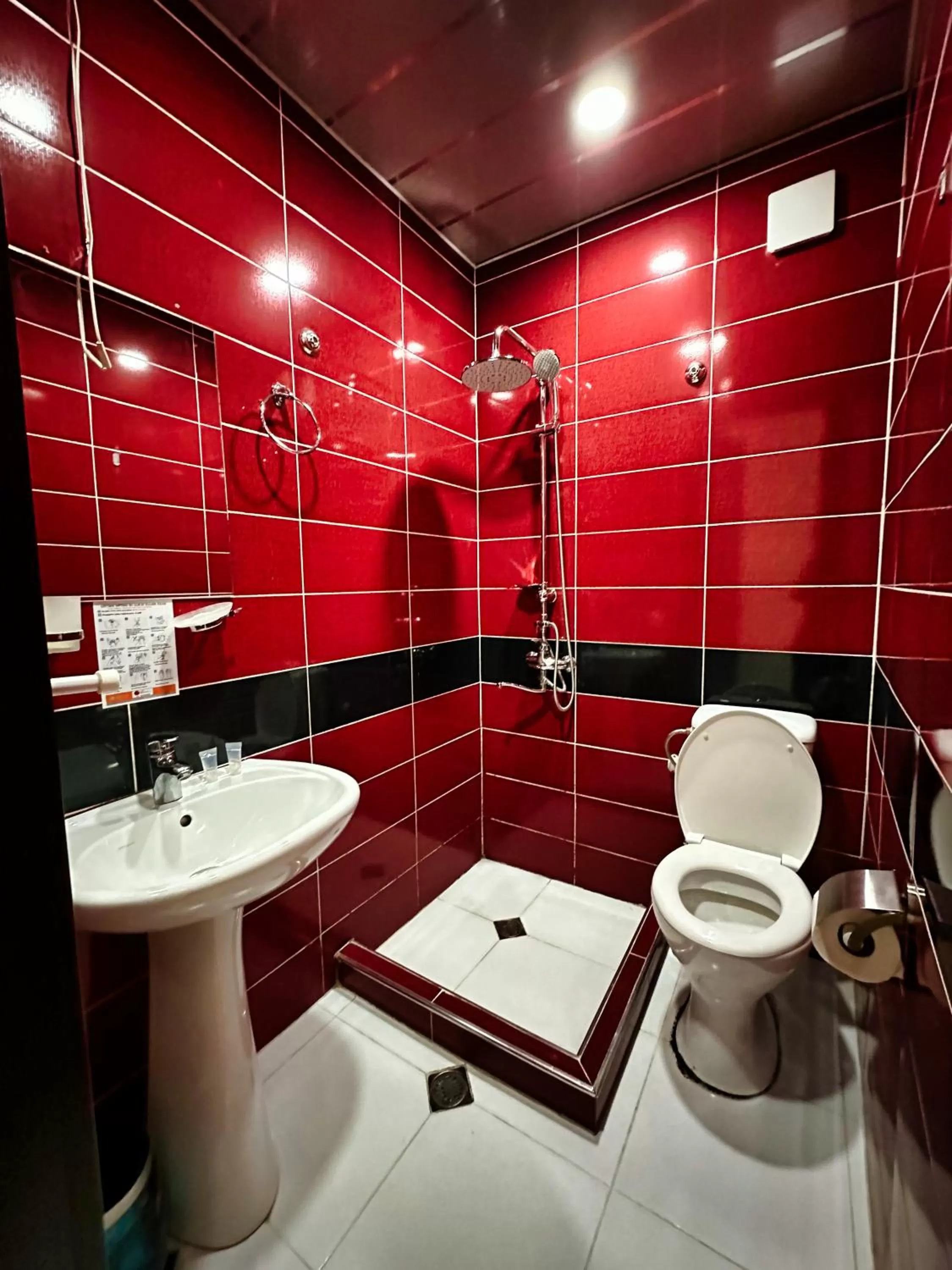 Toilet, Bathroom in Metekhi View Hotel