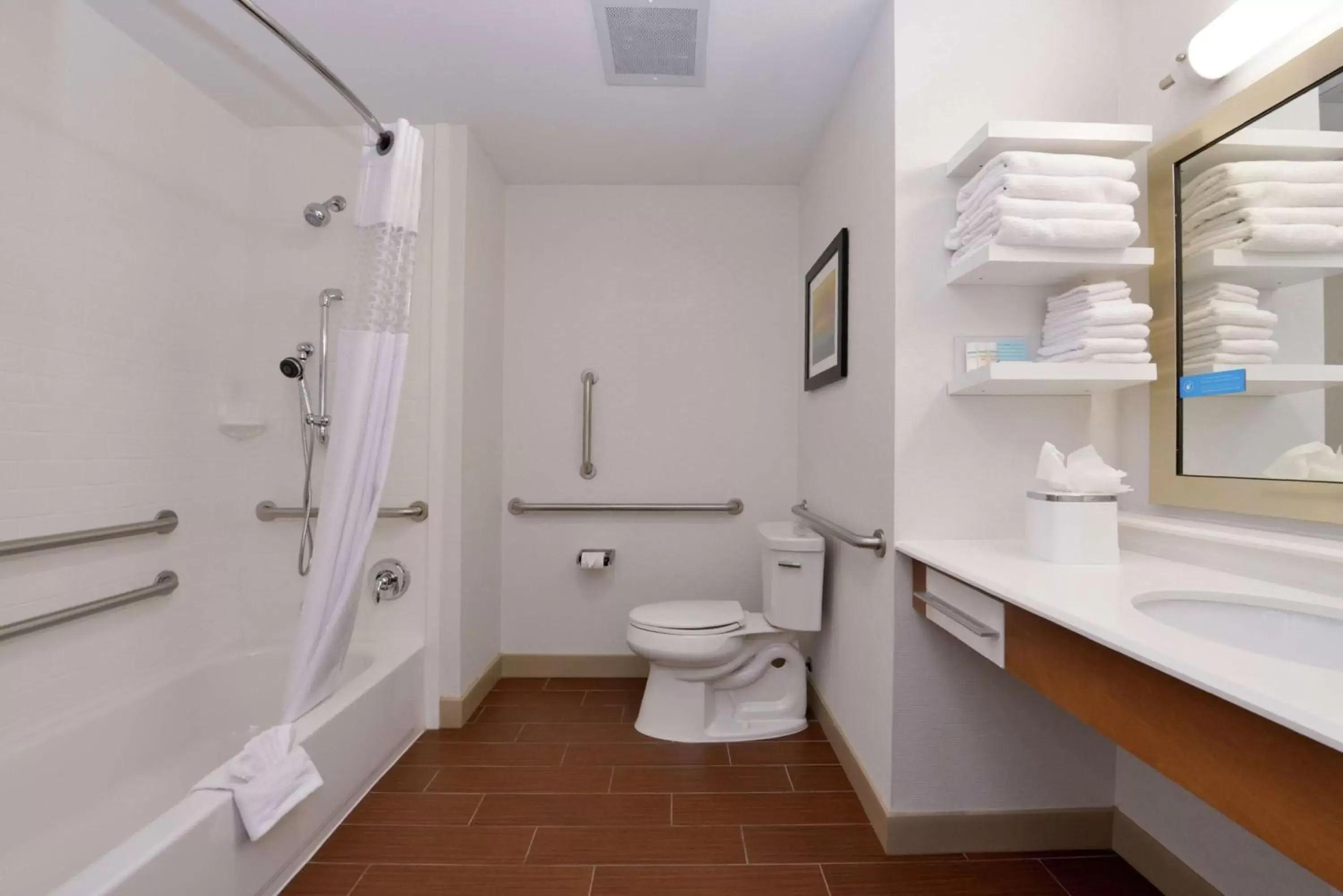 Bathroom in Hampton Inn & Suites by Hilton Lonoke