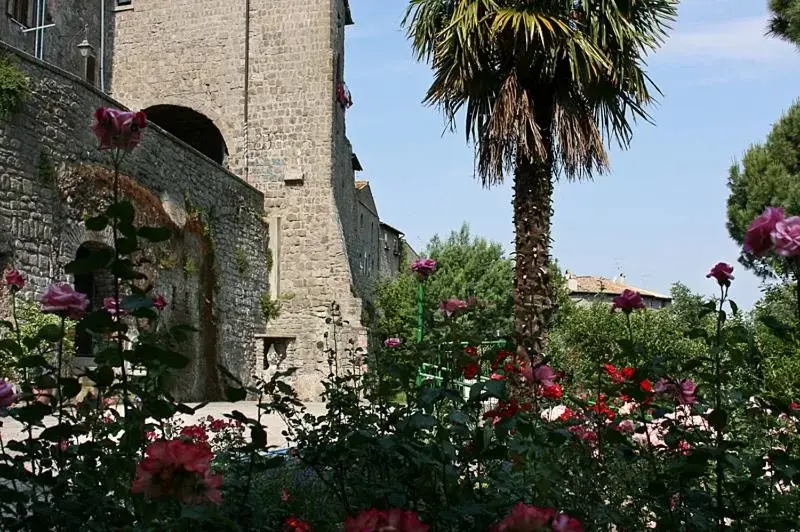 Garden in Nazareth Residence