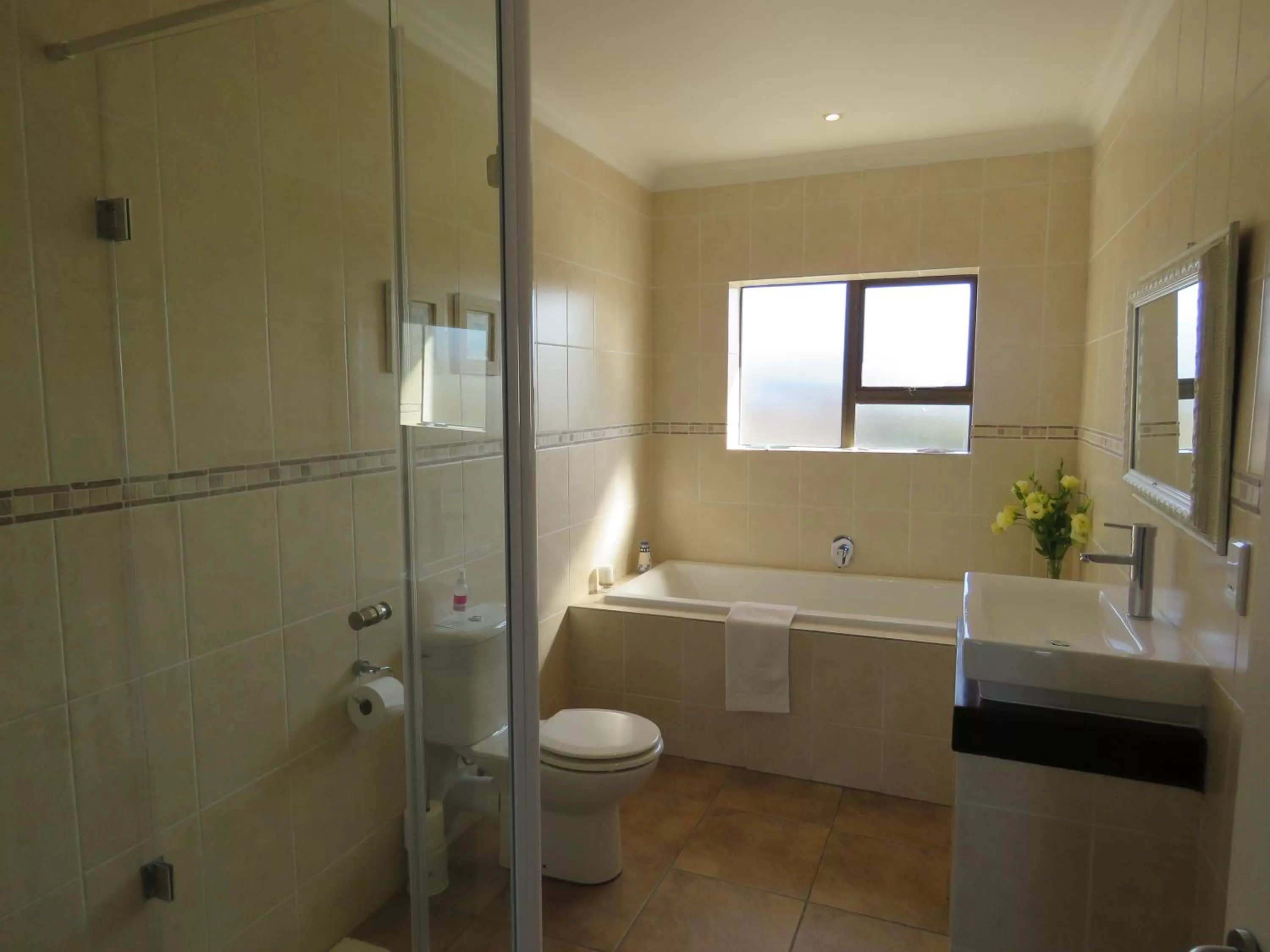 Day in The Beach House