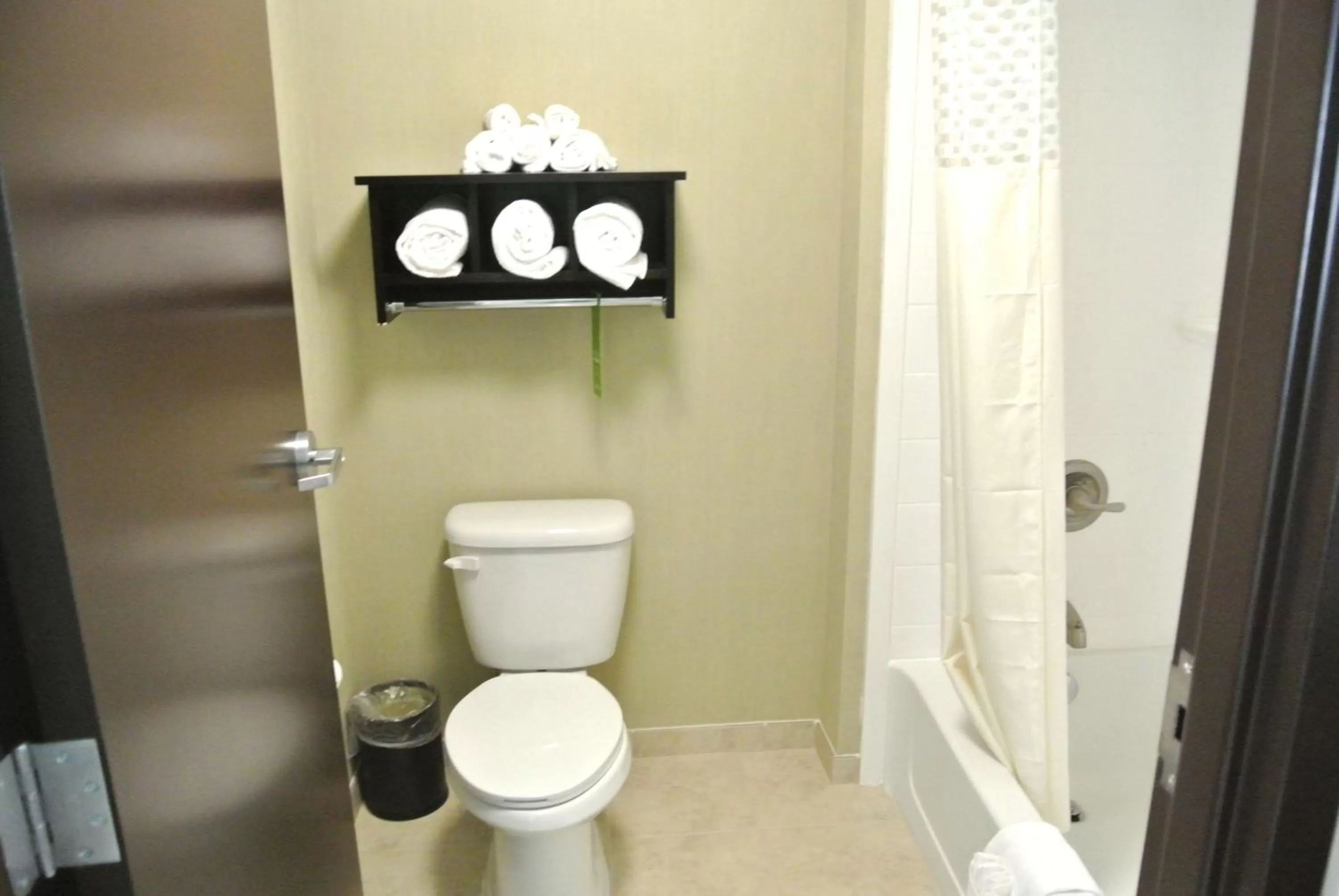 Bathroom in Hampton Inn Carrizo Springs