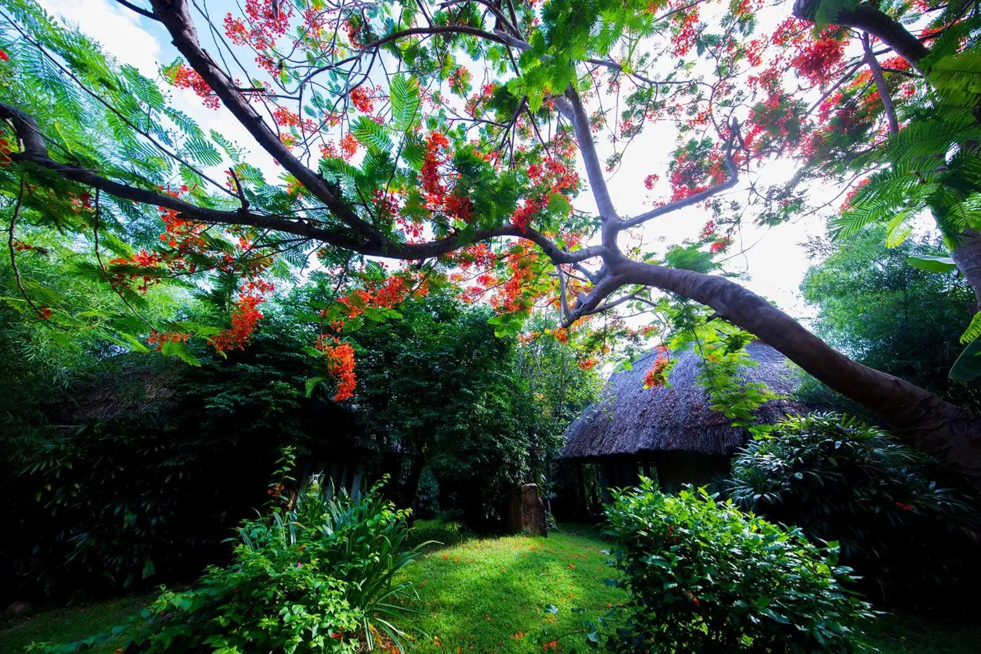 Garden in Hon Tam Resort