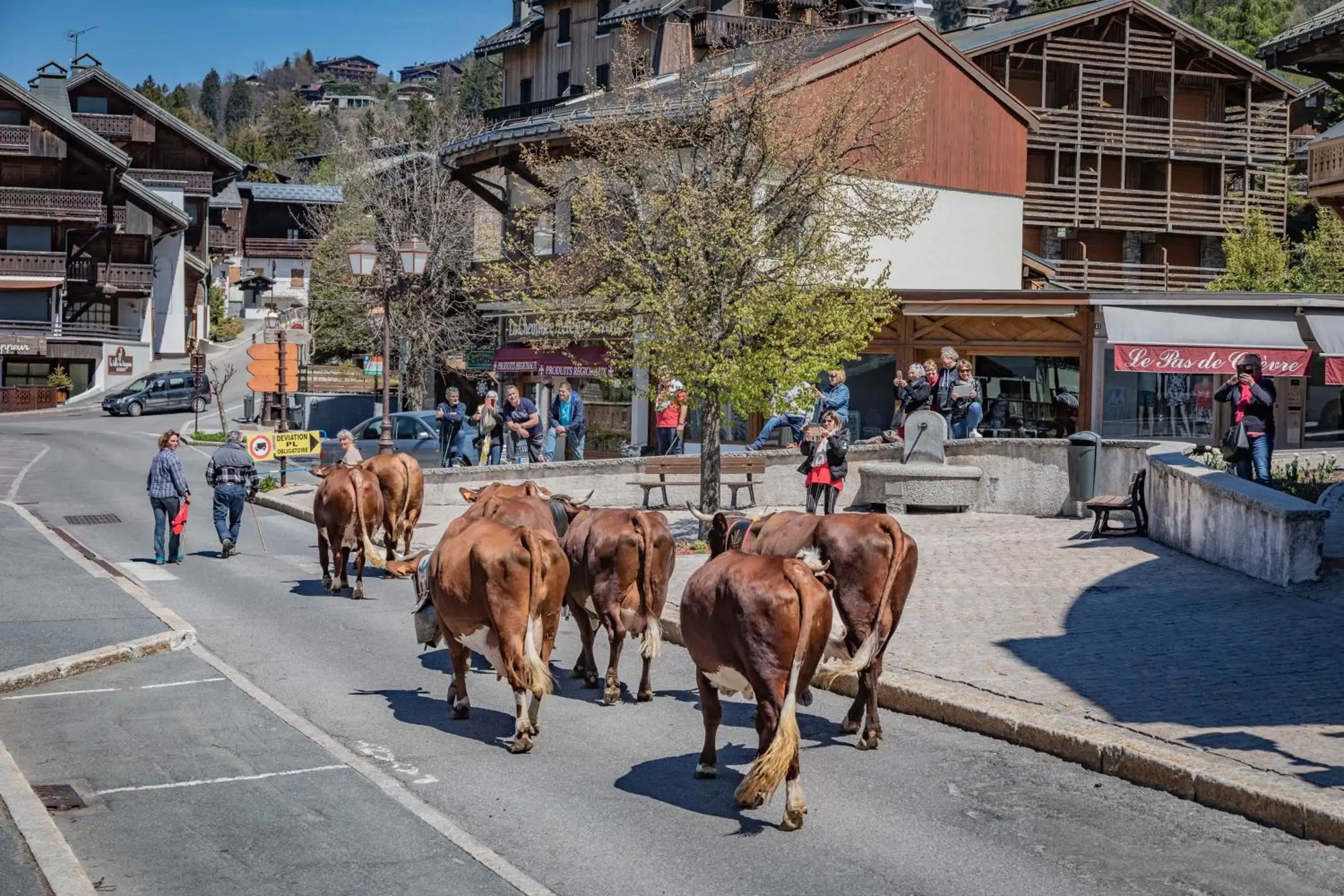 Activities in Mamie Megève