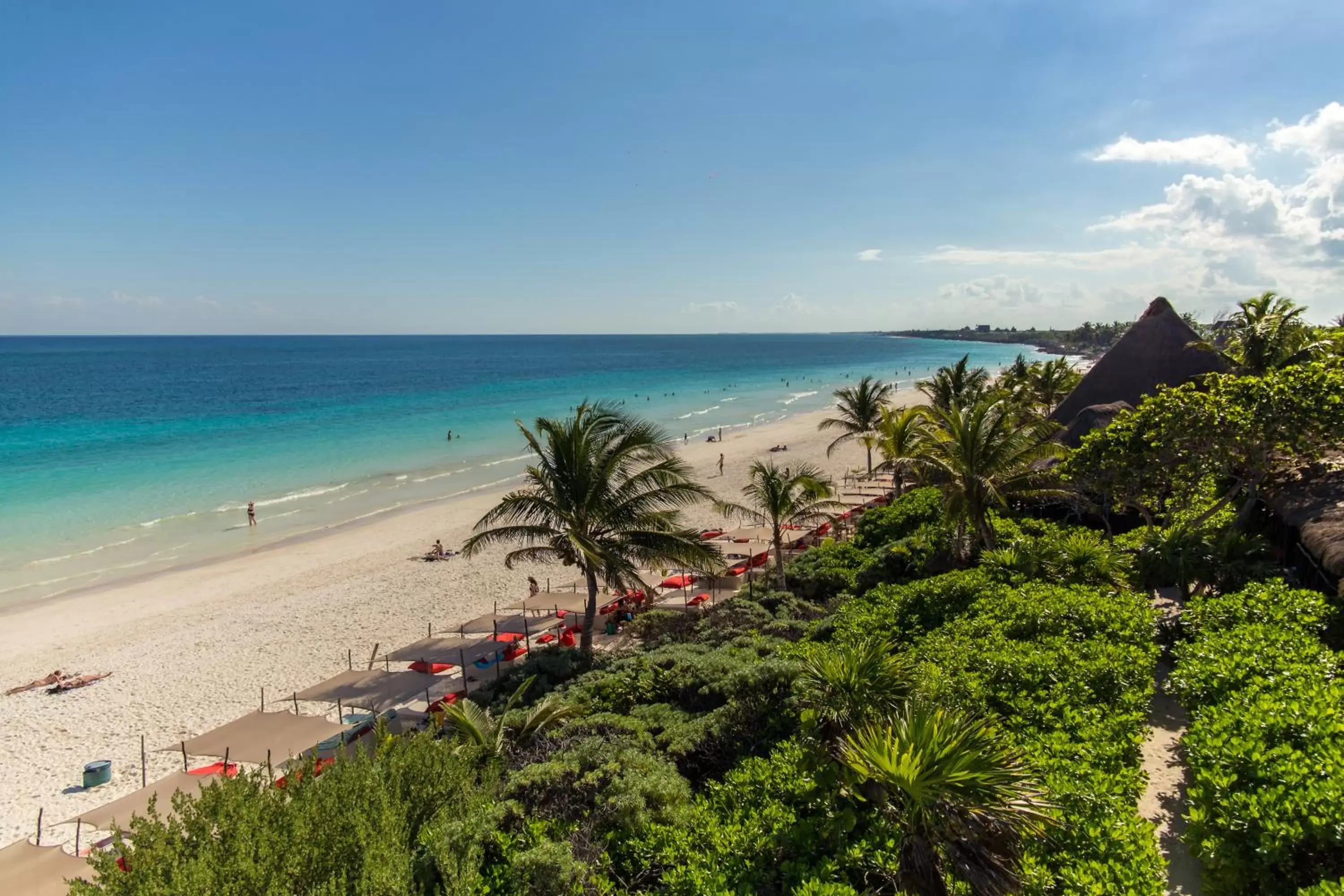 Natural landscape in Hotel Poc Na Tulum