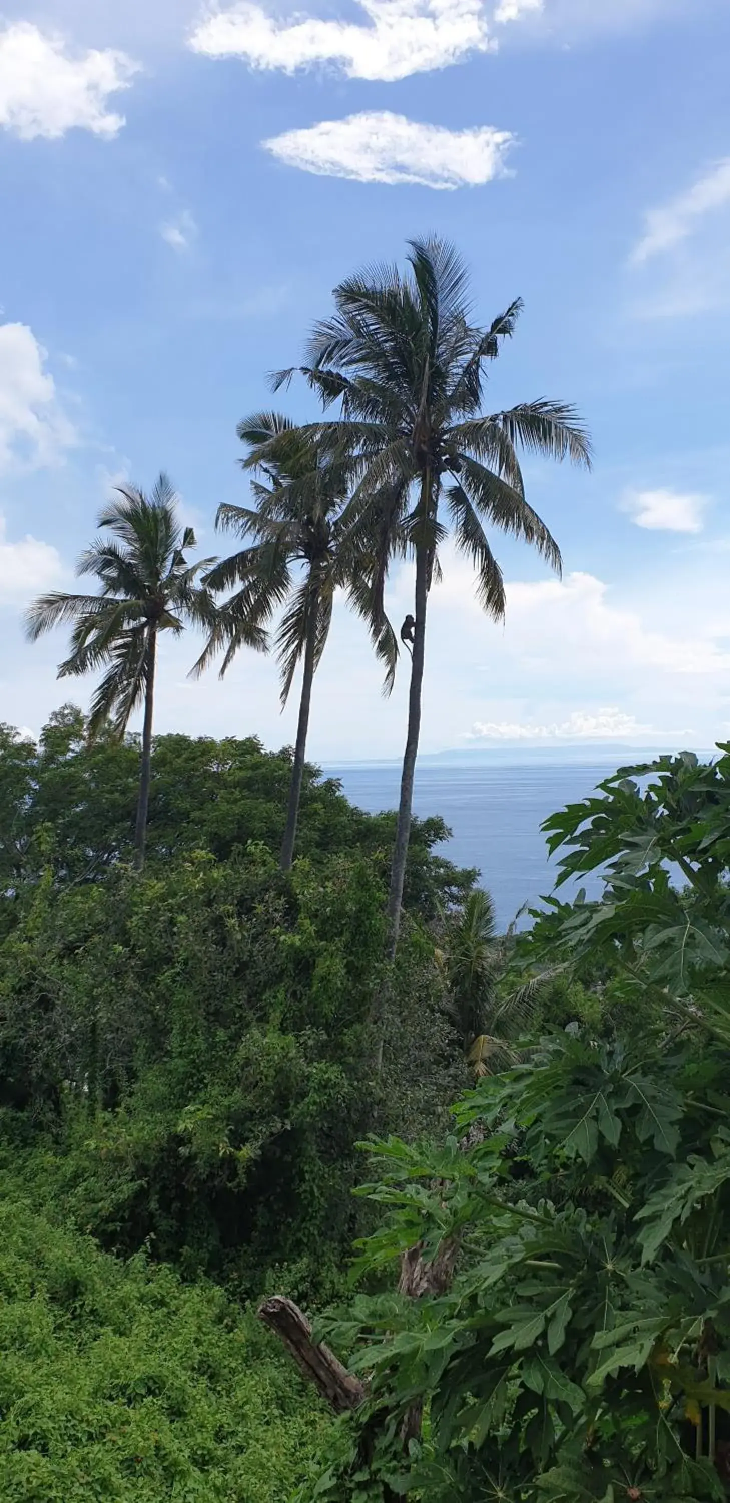 Nearby landmark in Villa Umbrella Lombok