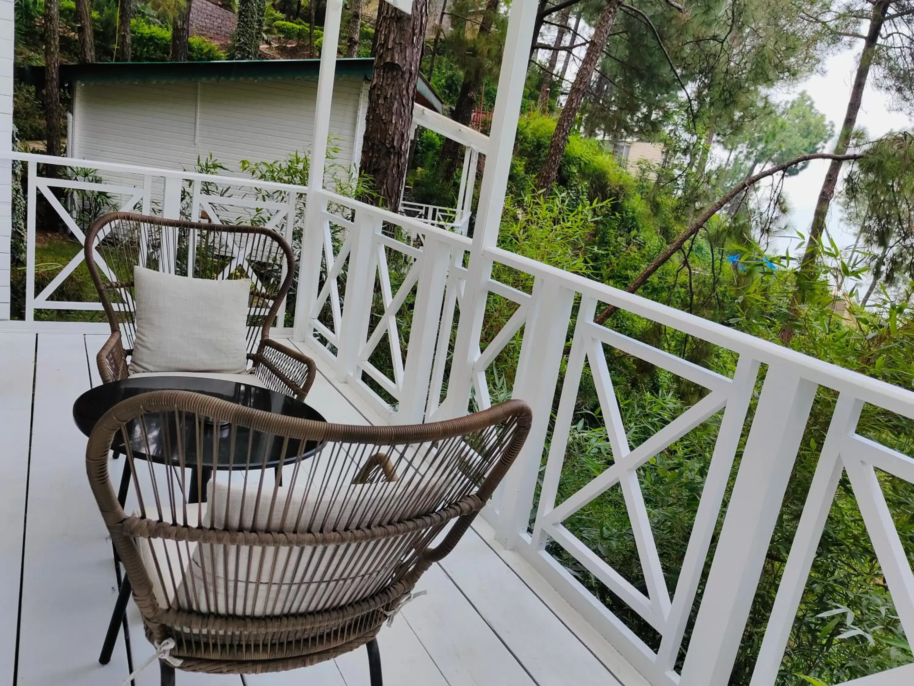 Balcony/Terrace in Kasauli Hills Resort