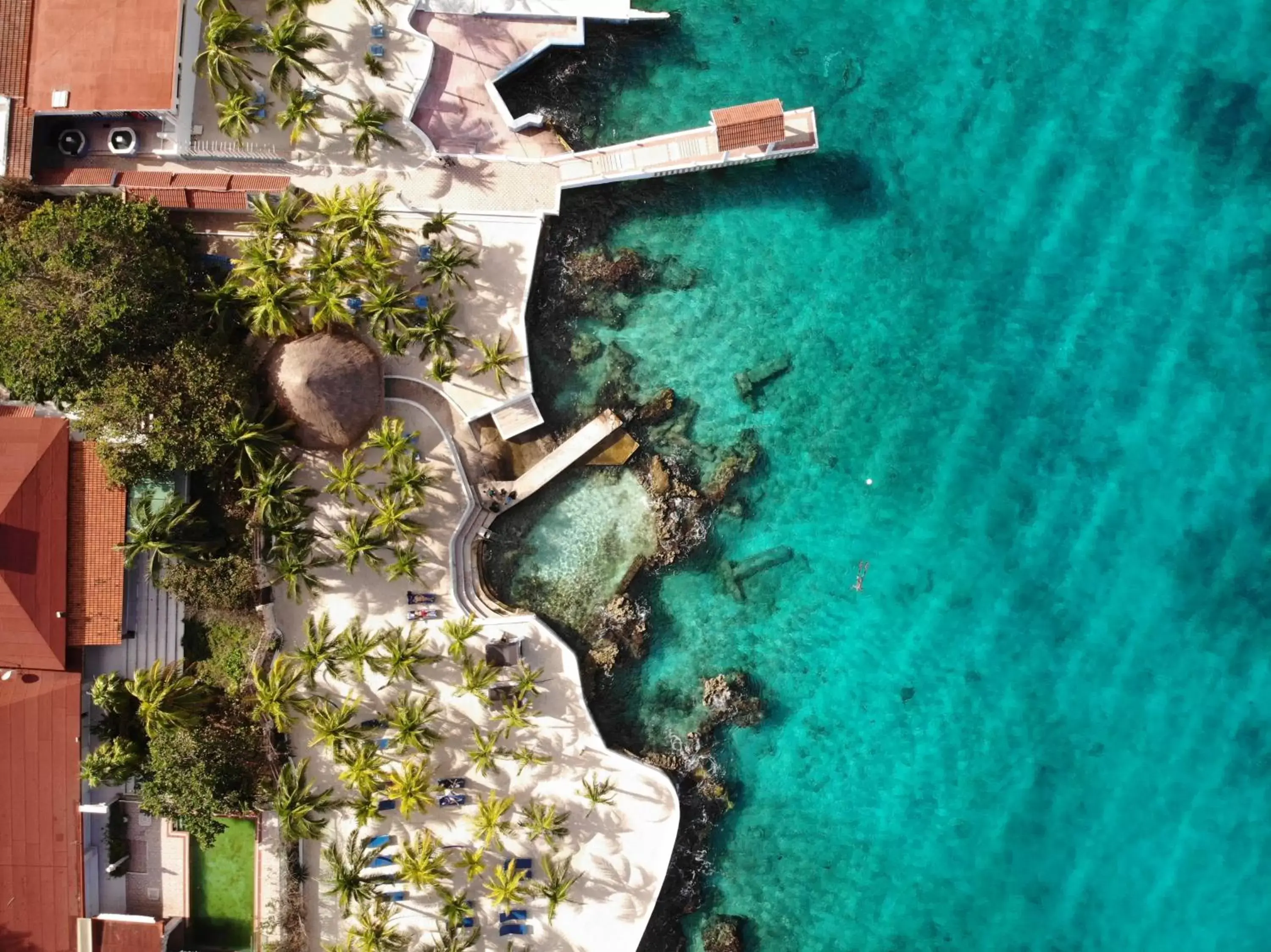 Beach, Bird's-eye View in Cozumel Hotel & Resort Trademark Collection by Wyndham