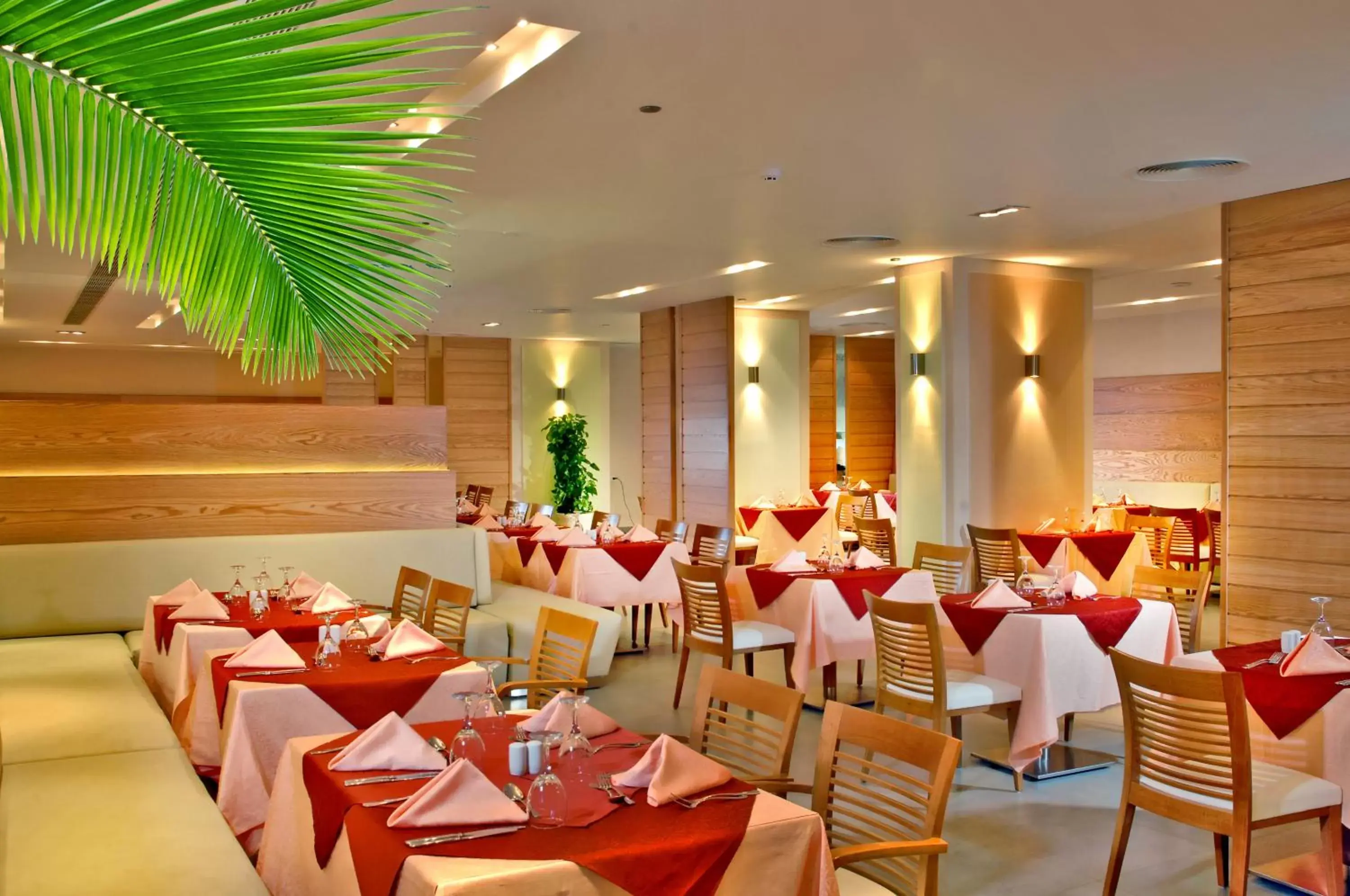 Restaurant/places to eat in Coral Sea Aqua Club Resort Restaurant/places to eat in Coral Sea Aqua Club Resort