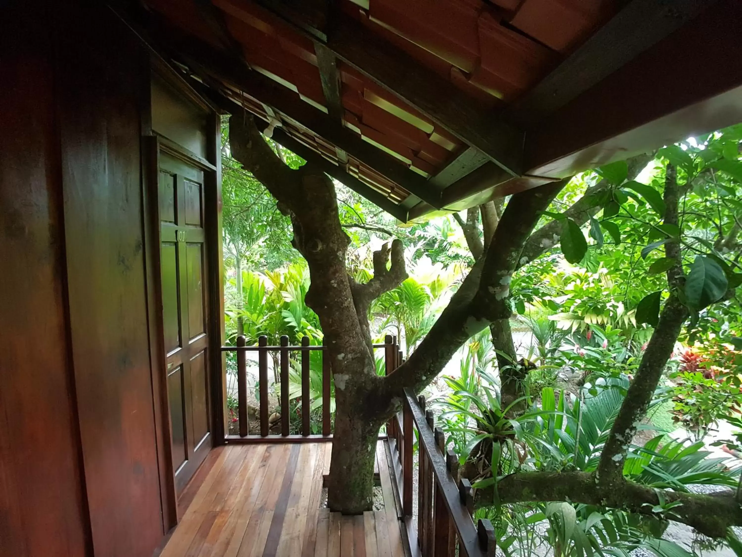 Day, Balcony/Terrace in Hotel Heliconias Nature Inn & Hot Springs