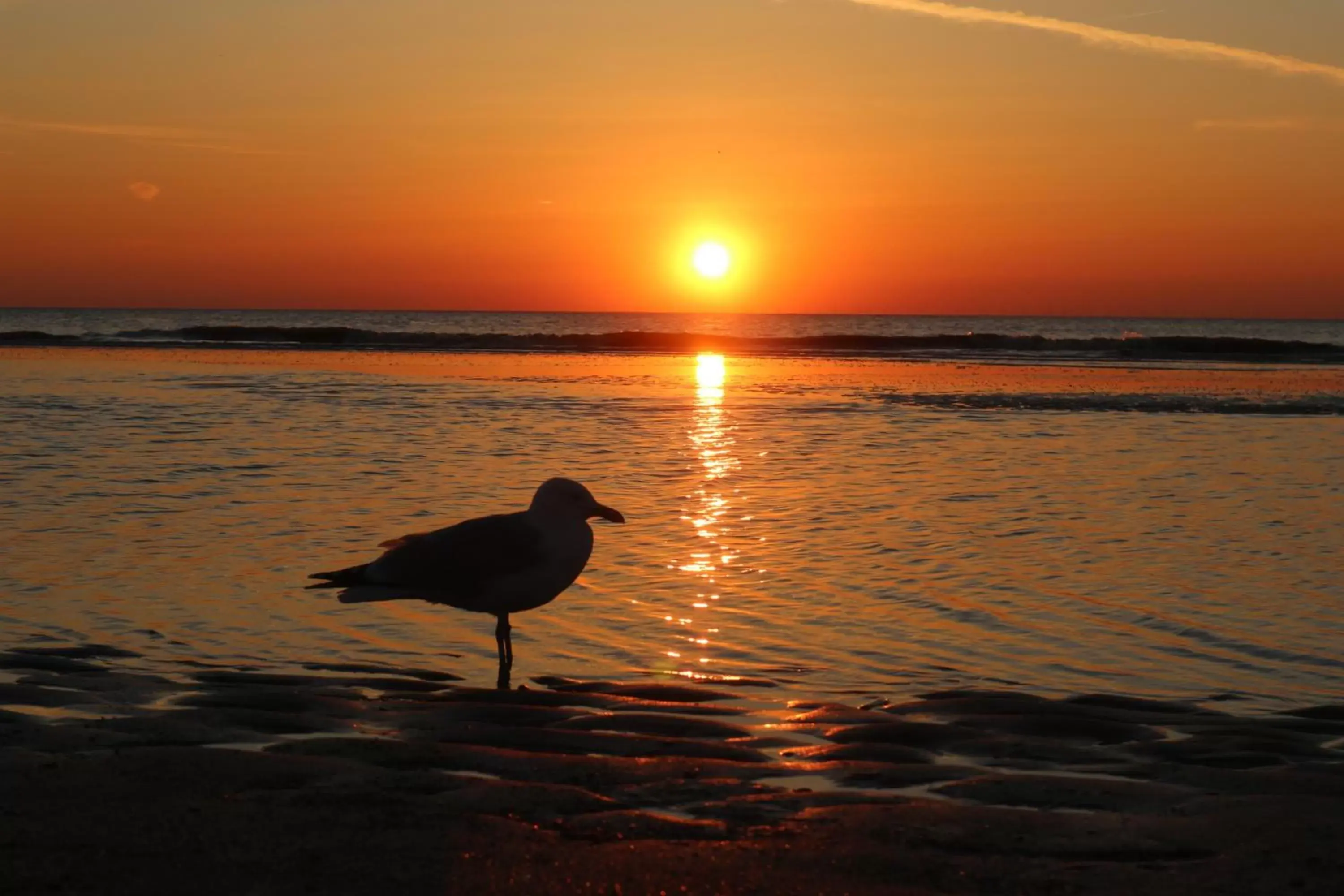 Beach, Sunrise/Sunset in SEA MORE