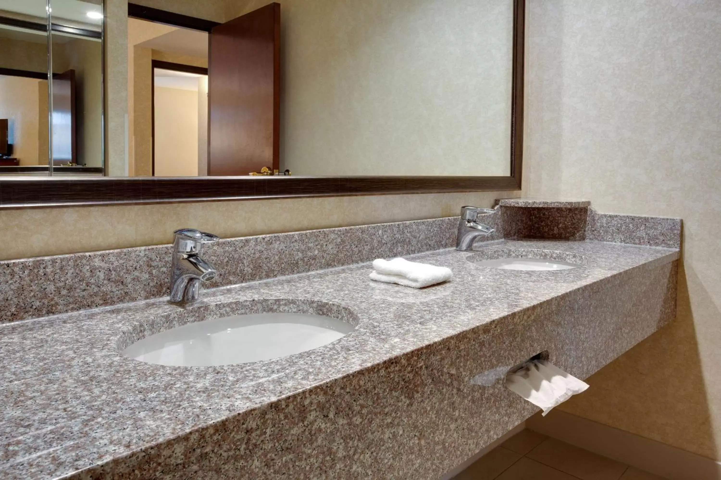 Bathroom in Drury Inn & Suites Terre Haute