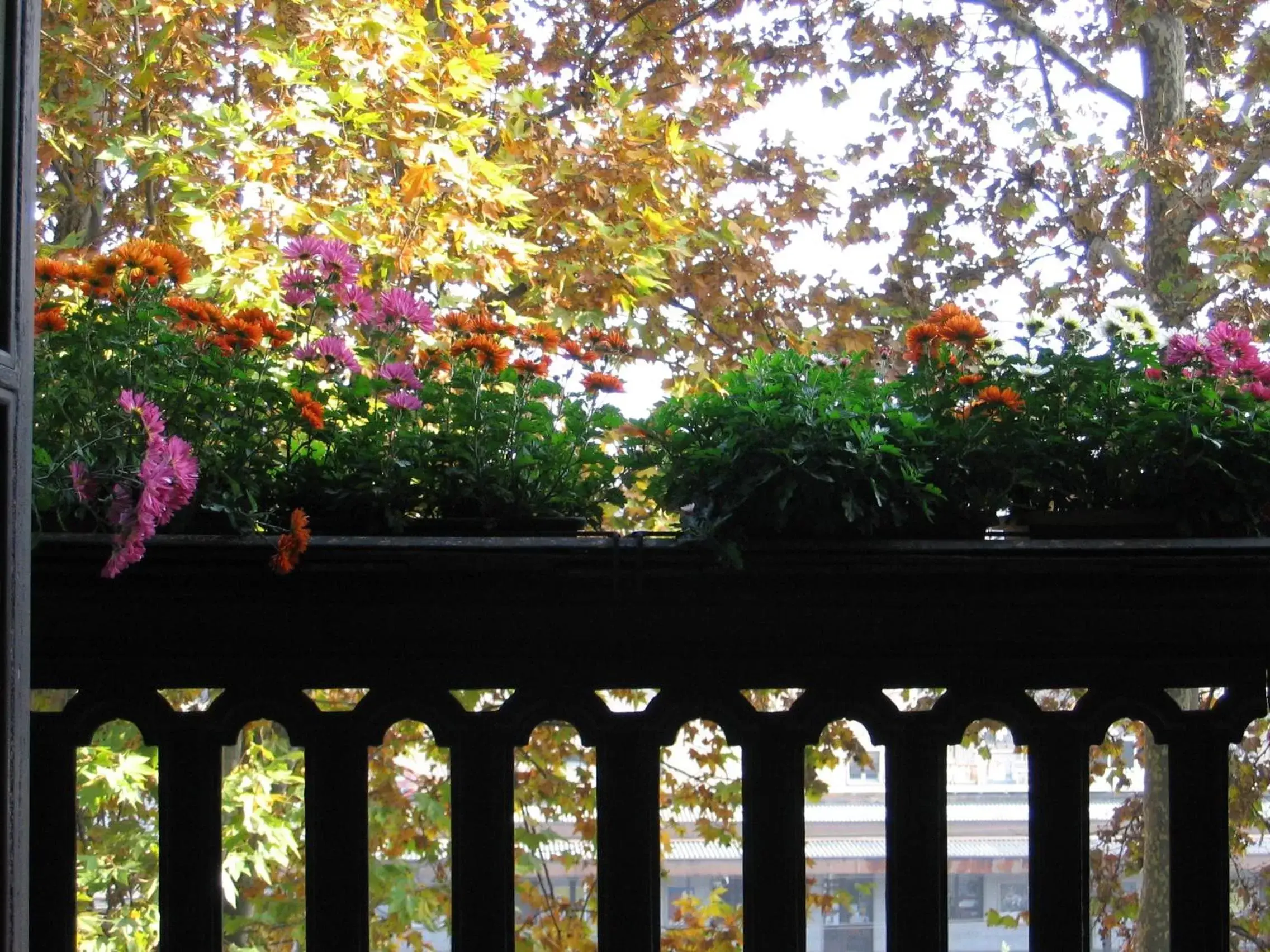 Balcony/Terrace in Al Porta Susa B&B