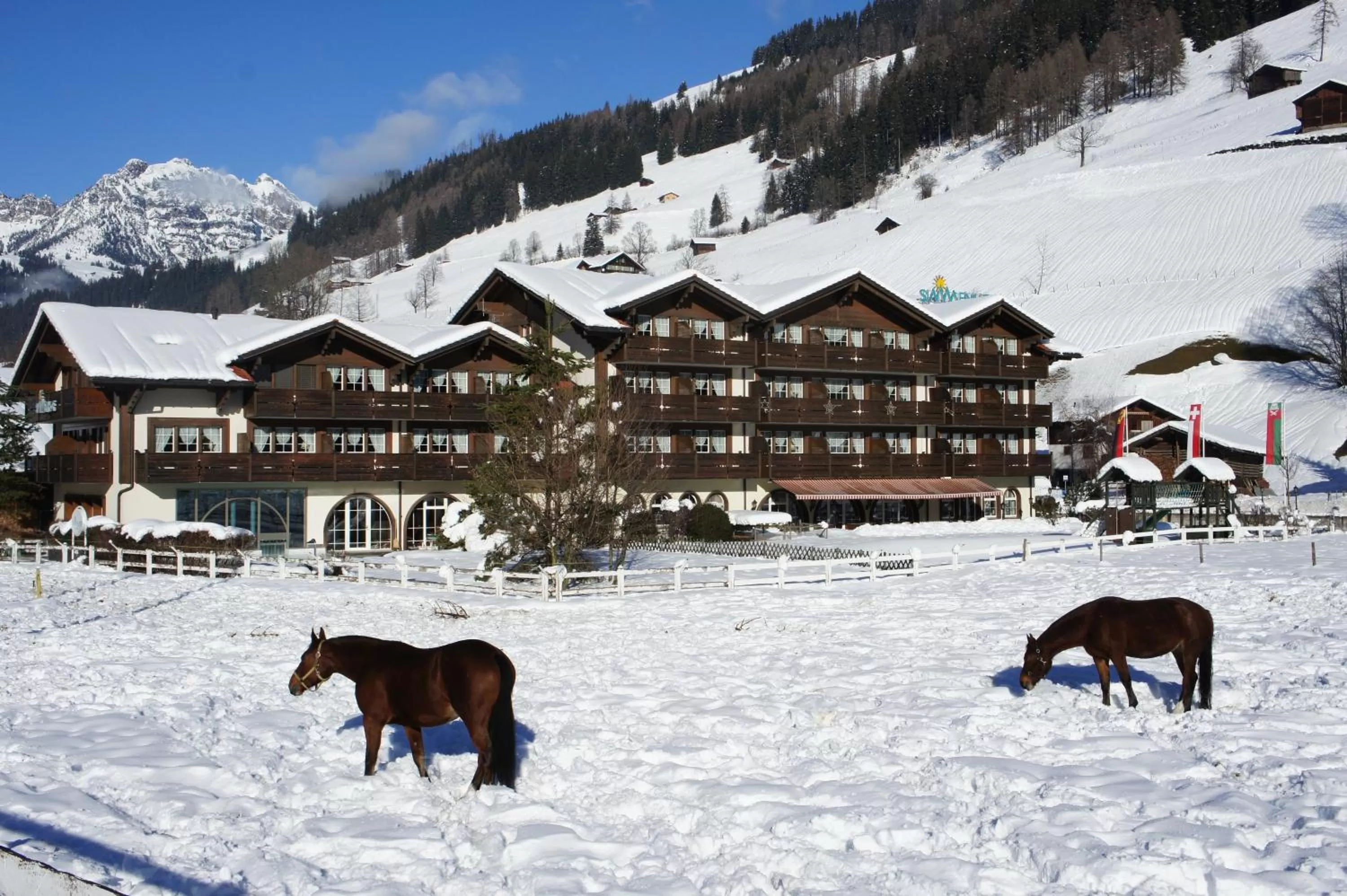 Bird's eye view in Hotel Simmenhof