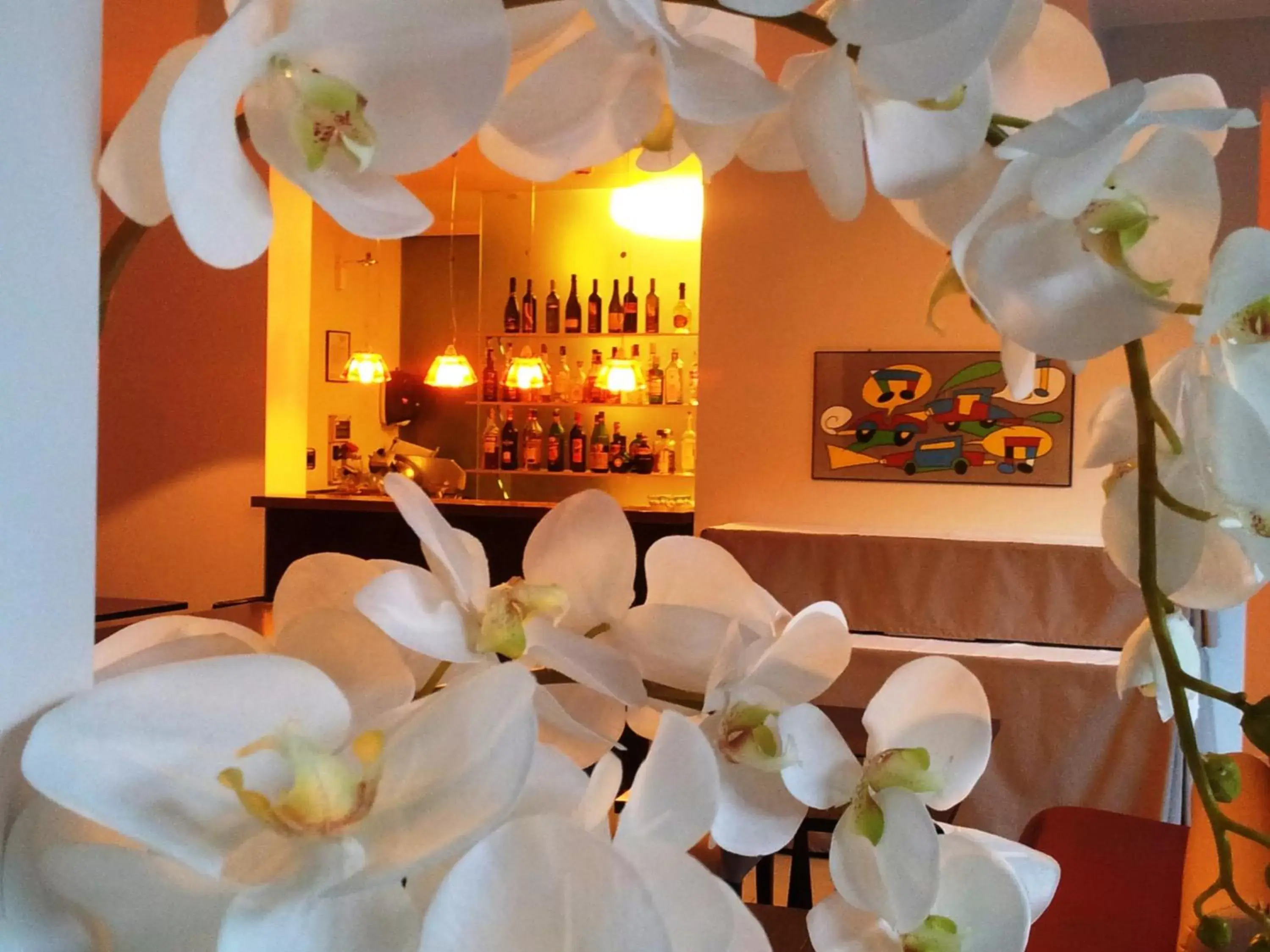 Lounge or bar, Banquet Facilities in Hotel Casa Poli