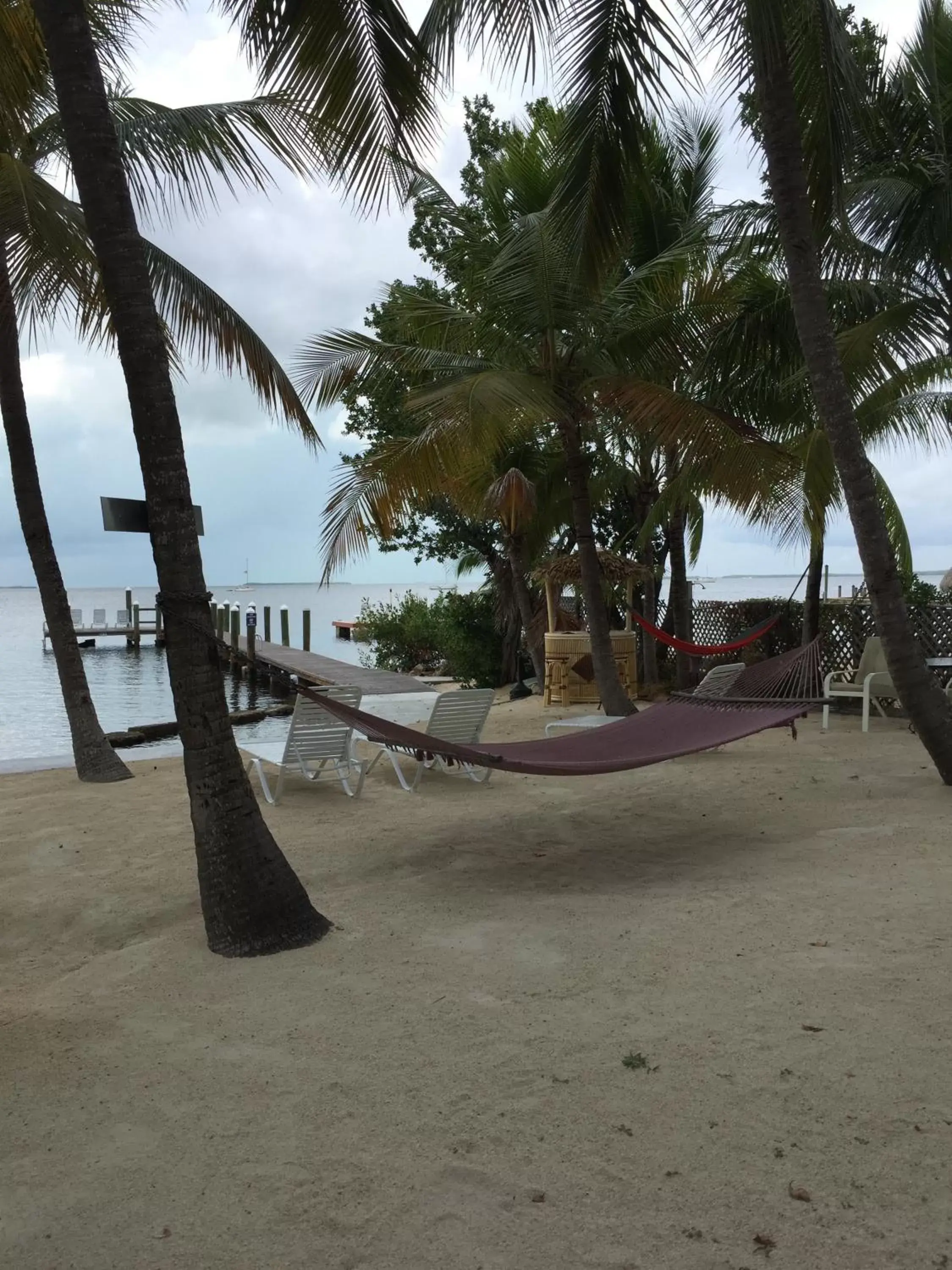 Sea view, Beach in The Pelican Key Largo Cottages